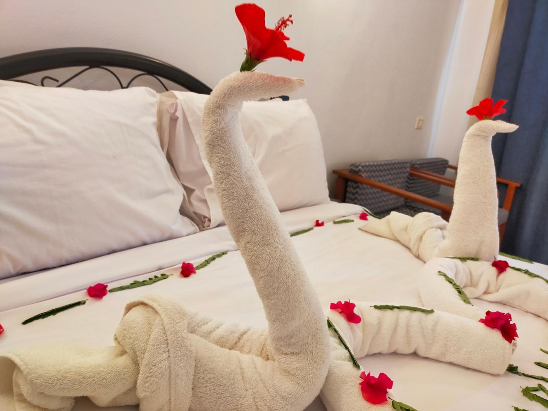 Marina Wadi Degla Hotel - Photo 37