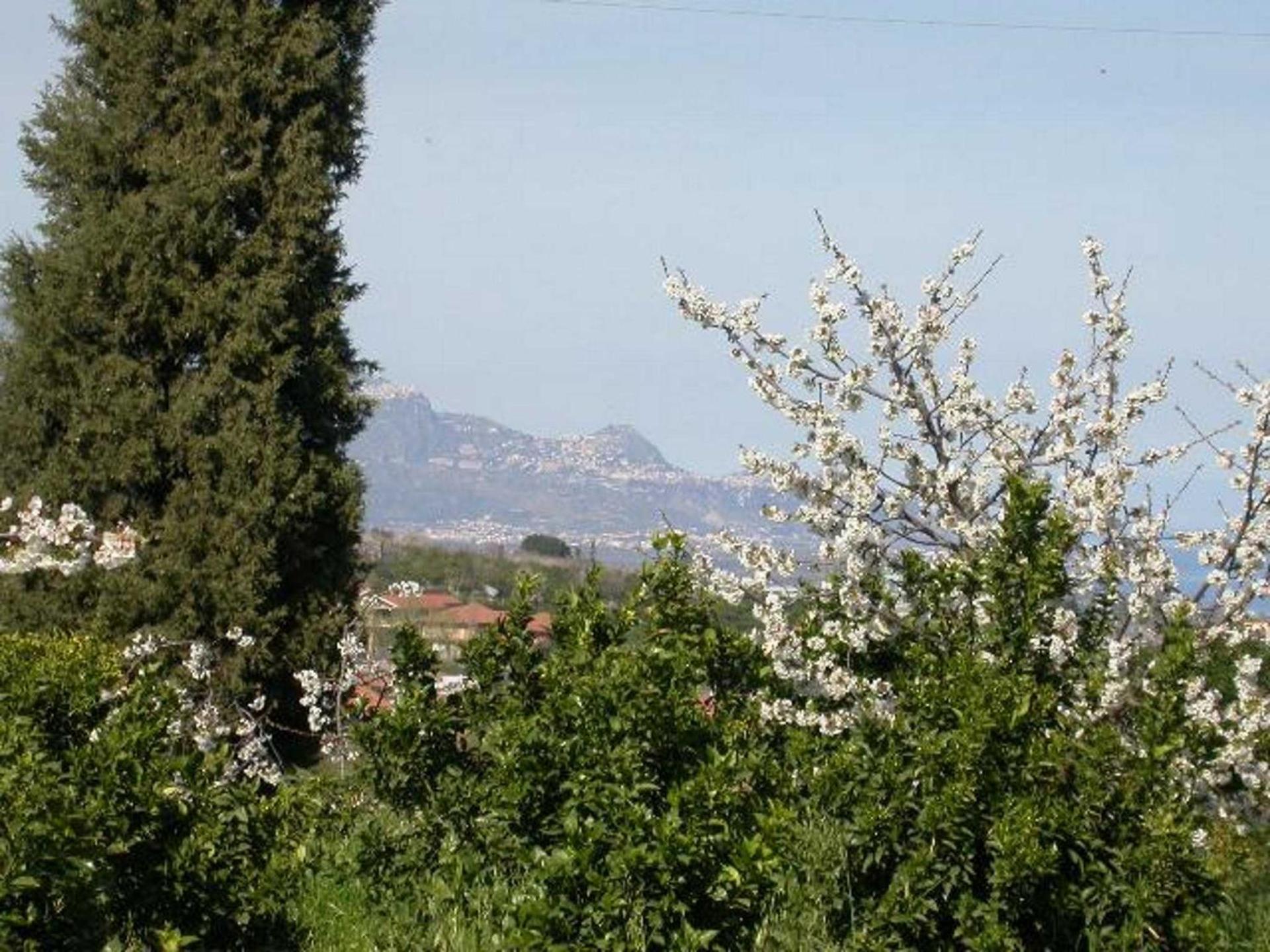 Baglio Delle Rose - Photo 40