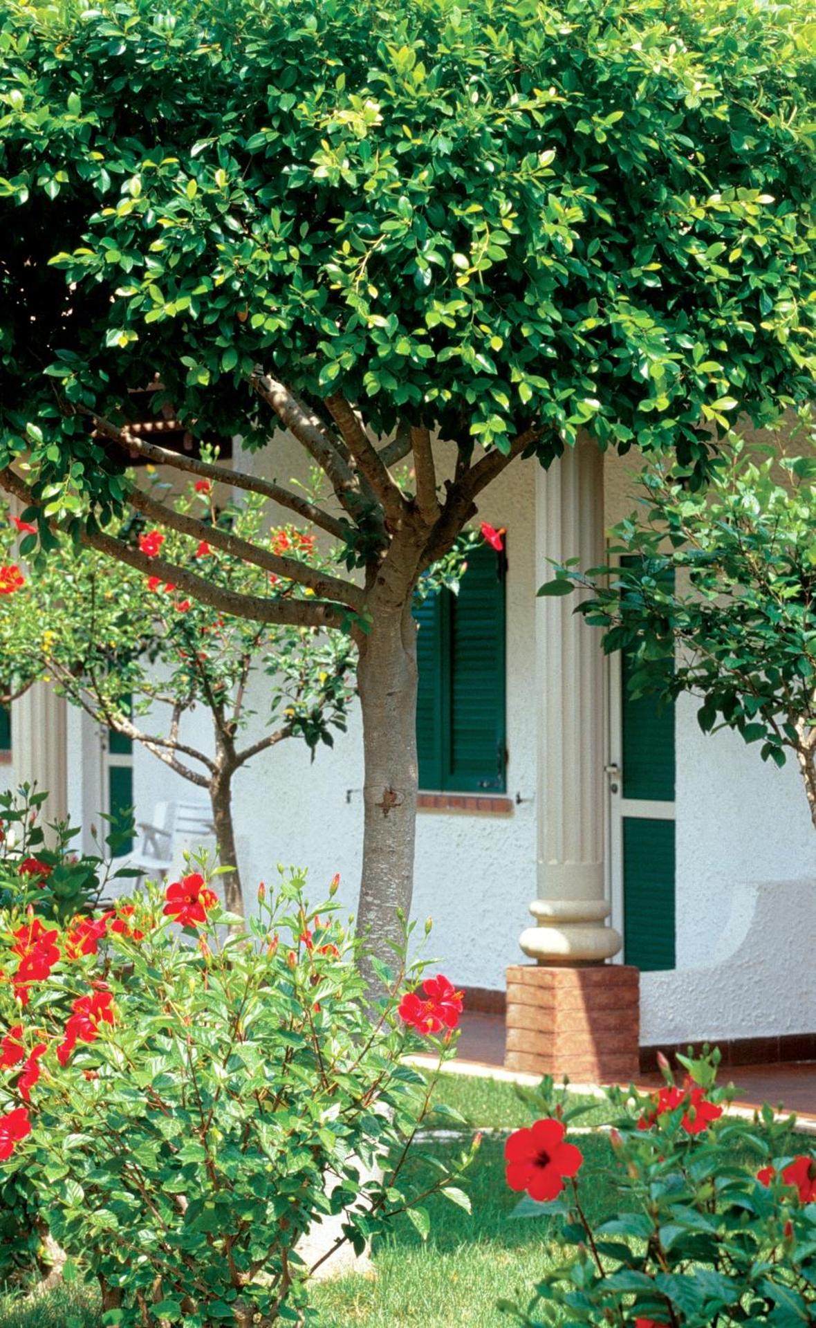 iGV Club Marispica - Photo 34