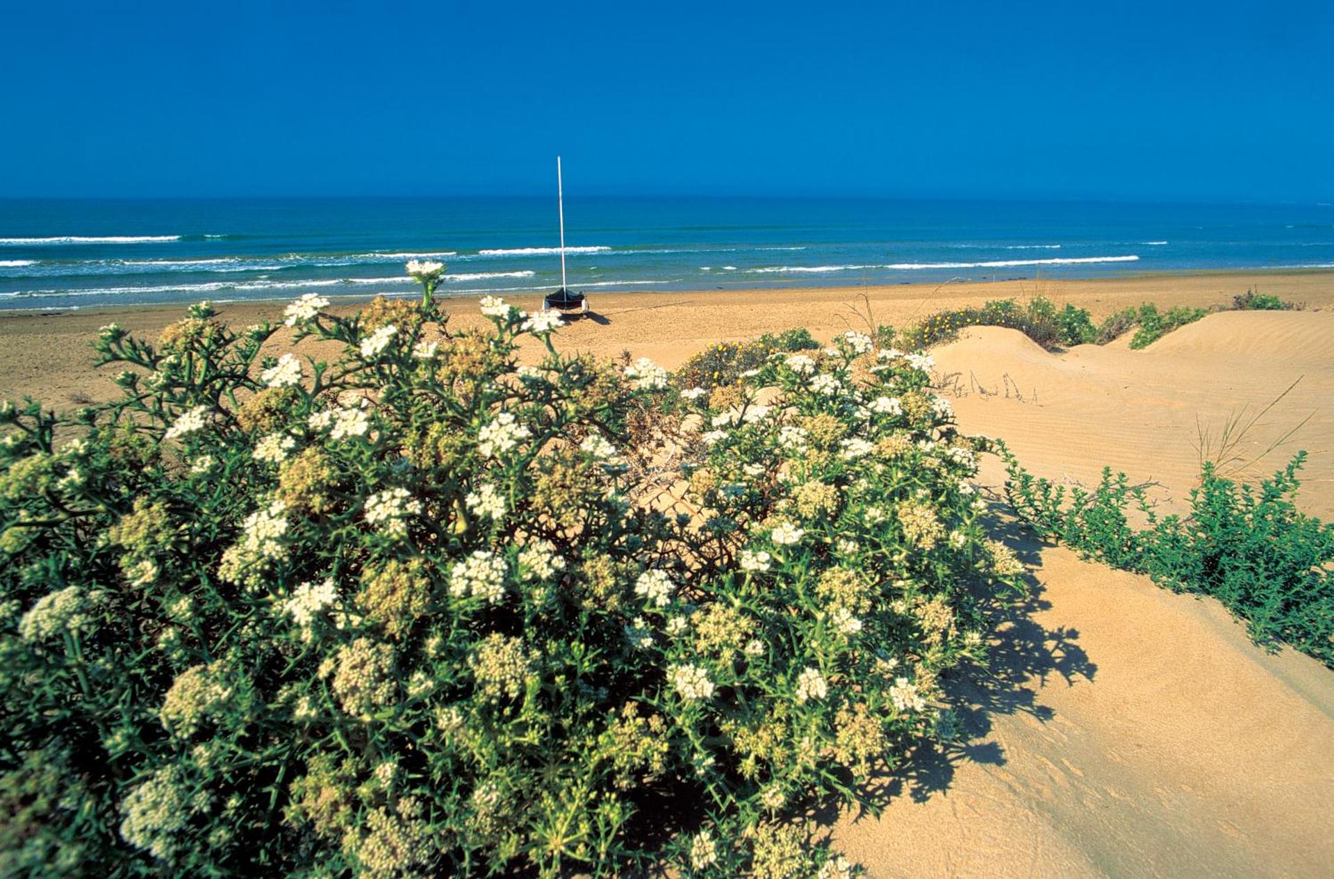 iGV Club Marispica - Photo 17