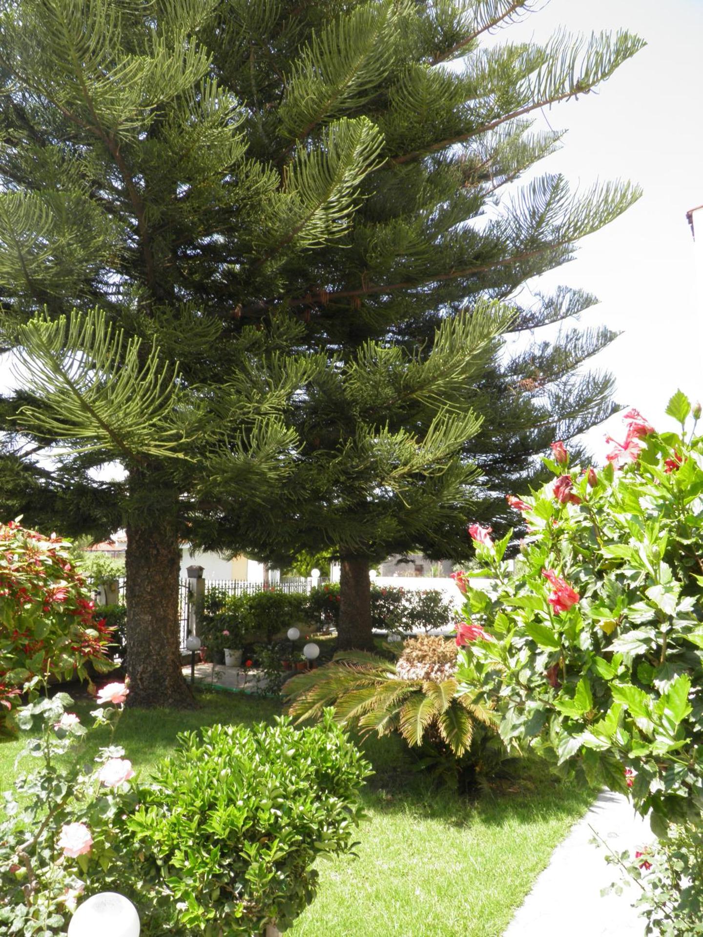 Maria Studios & Apartments - Photo 25