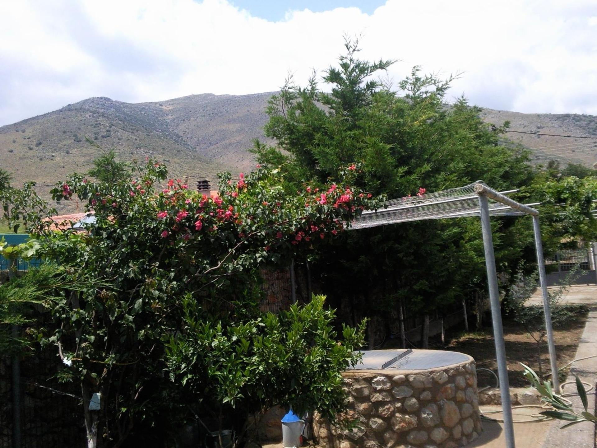 Elea Guesthouse - Photo 22