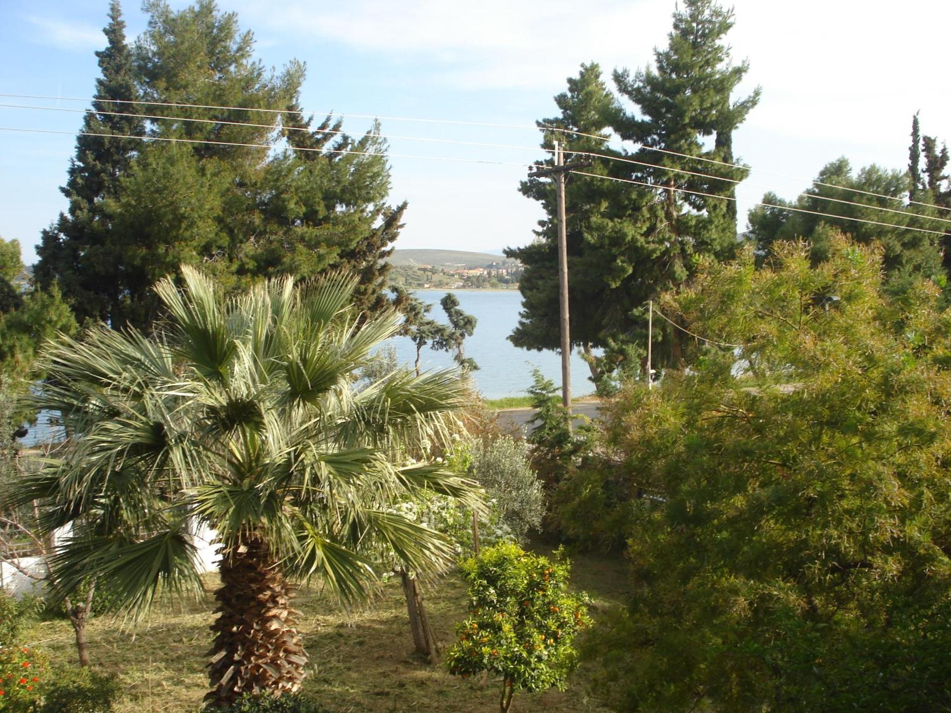 Elea Guesthouse - Photo 66