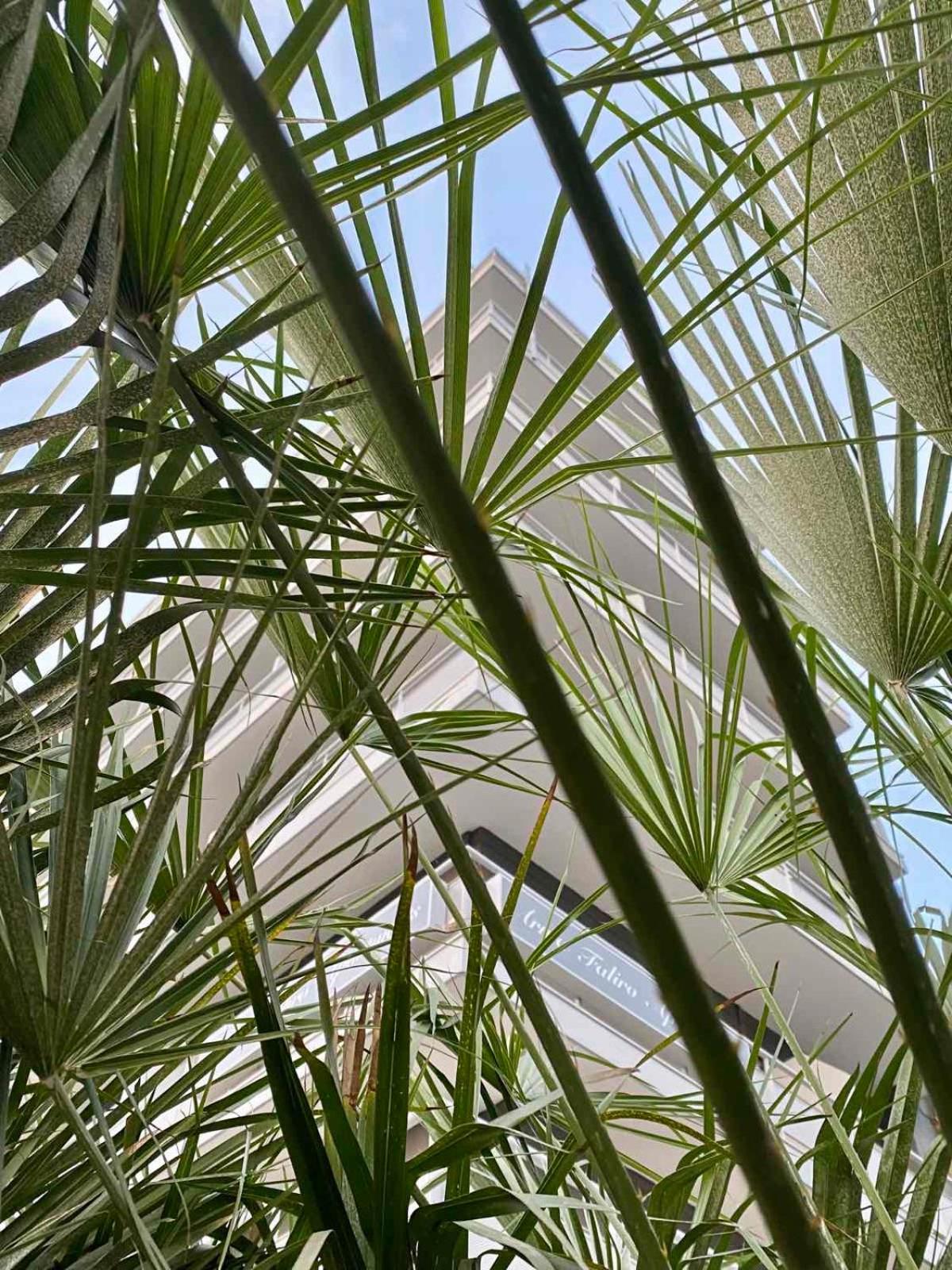 Arma Faliro Apartments - Photo 46