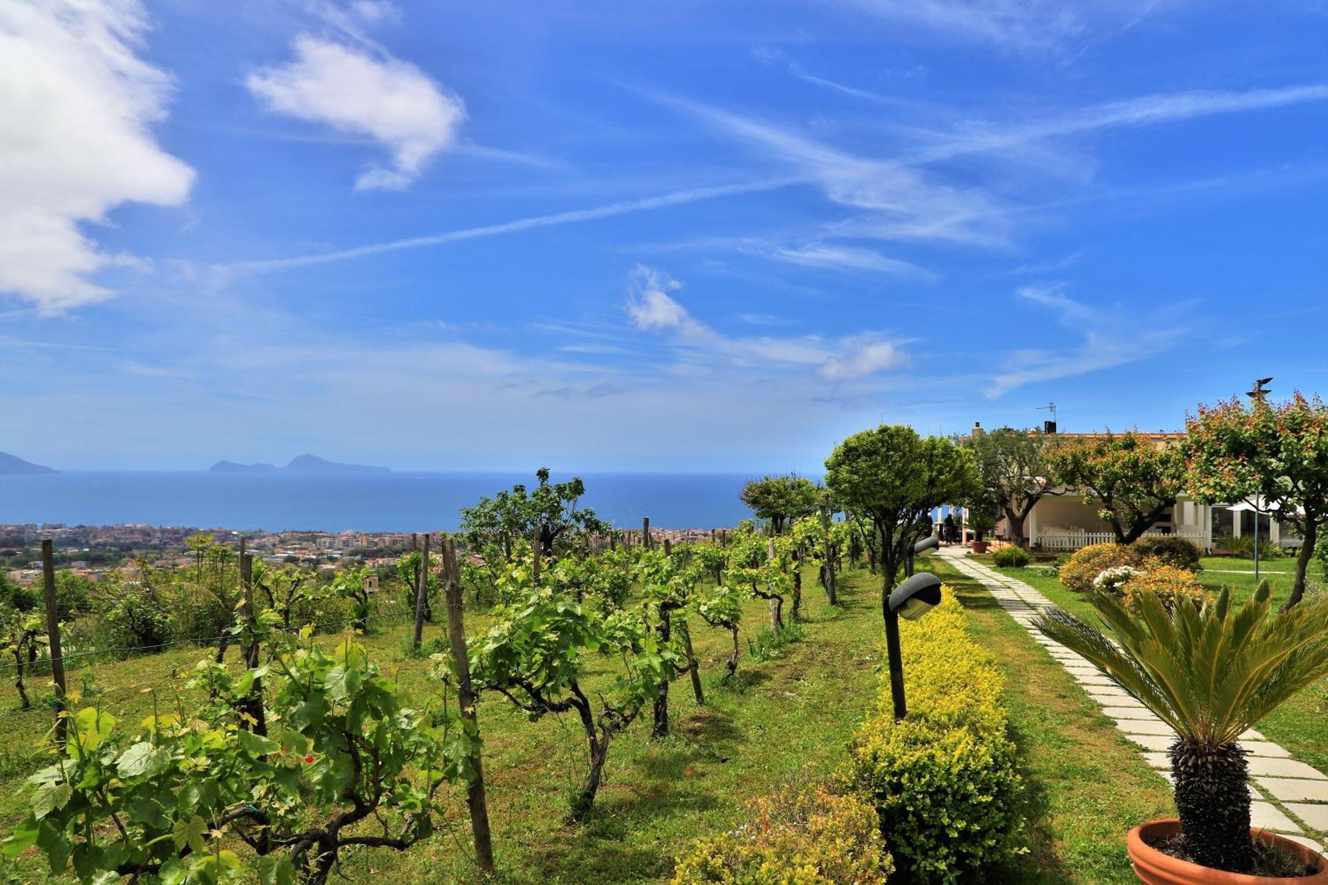 Tenuta Le Fornacelle - Photo 71