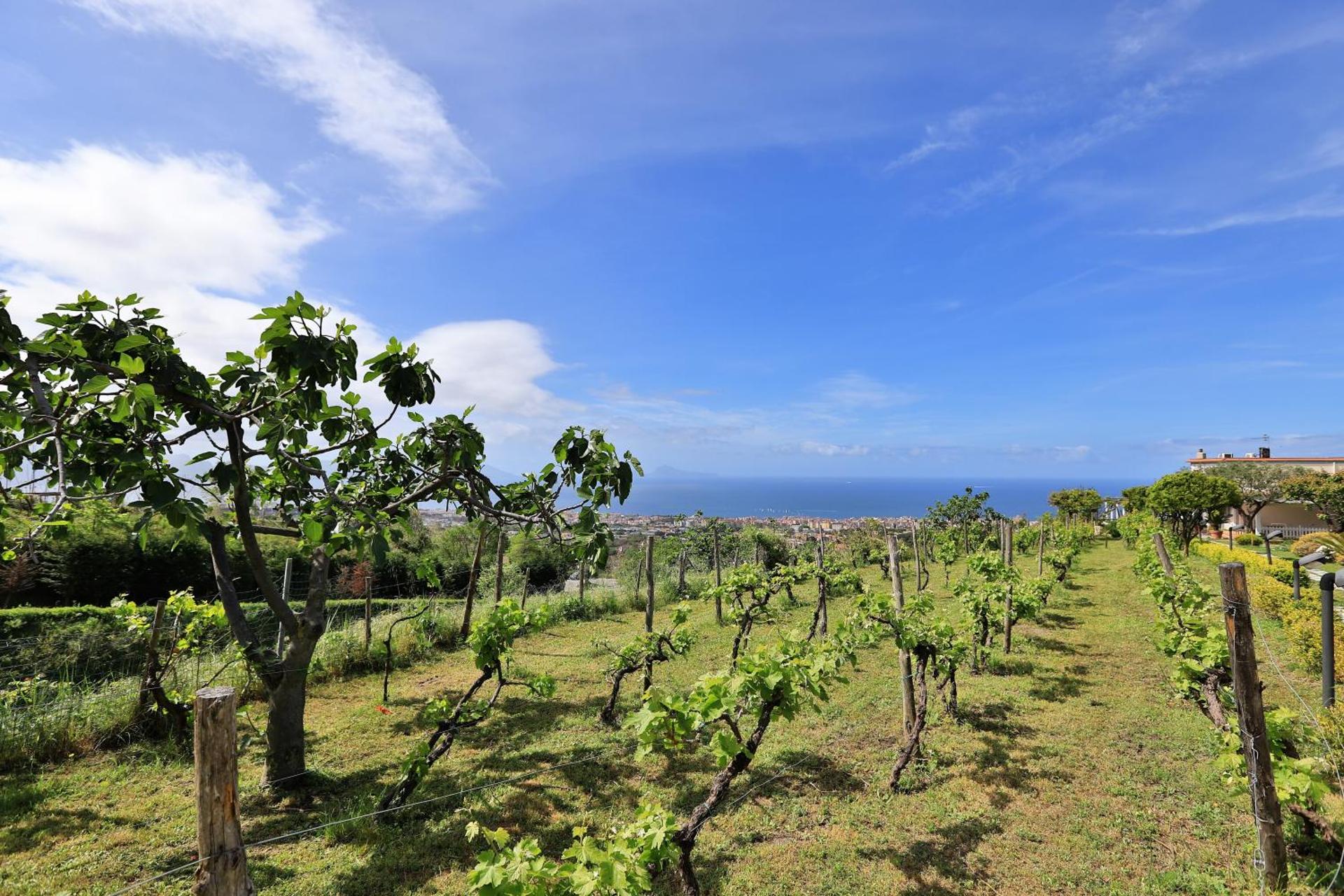 Tenuta Le Fornacelle - Photo 74