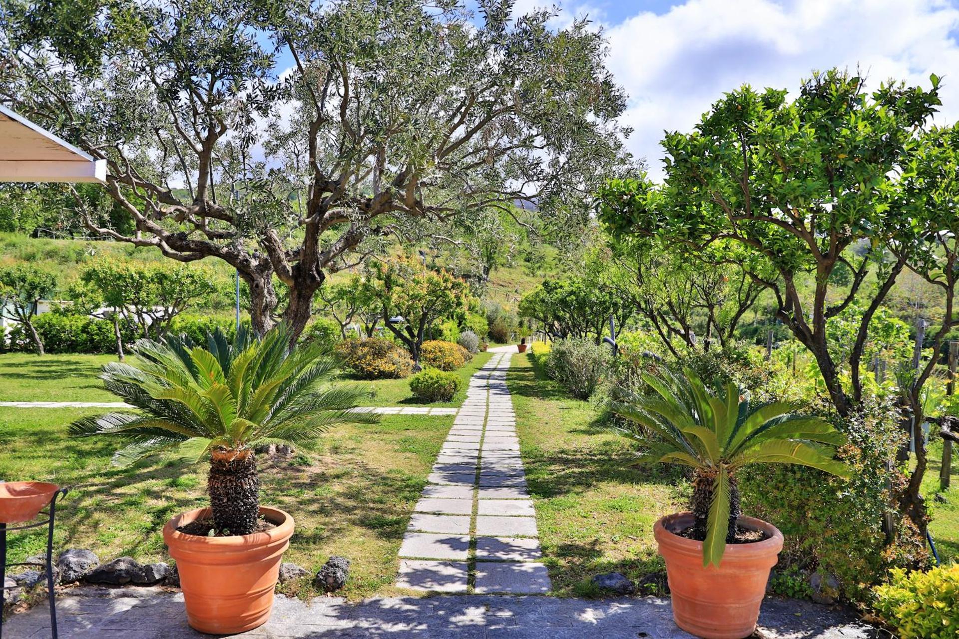 Tenuta Le Fornacelle - Photo 69