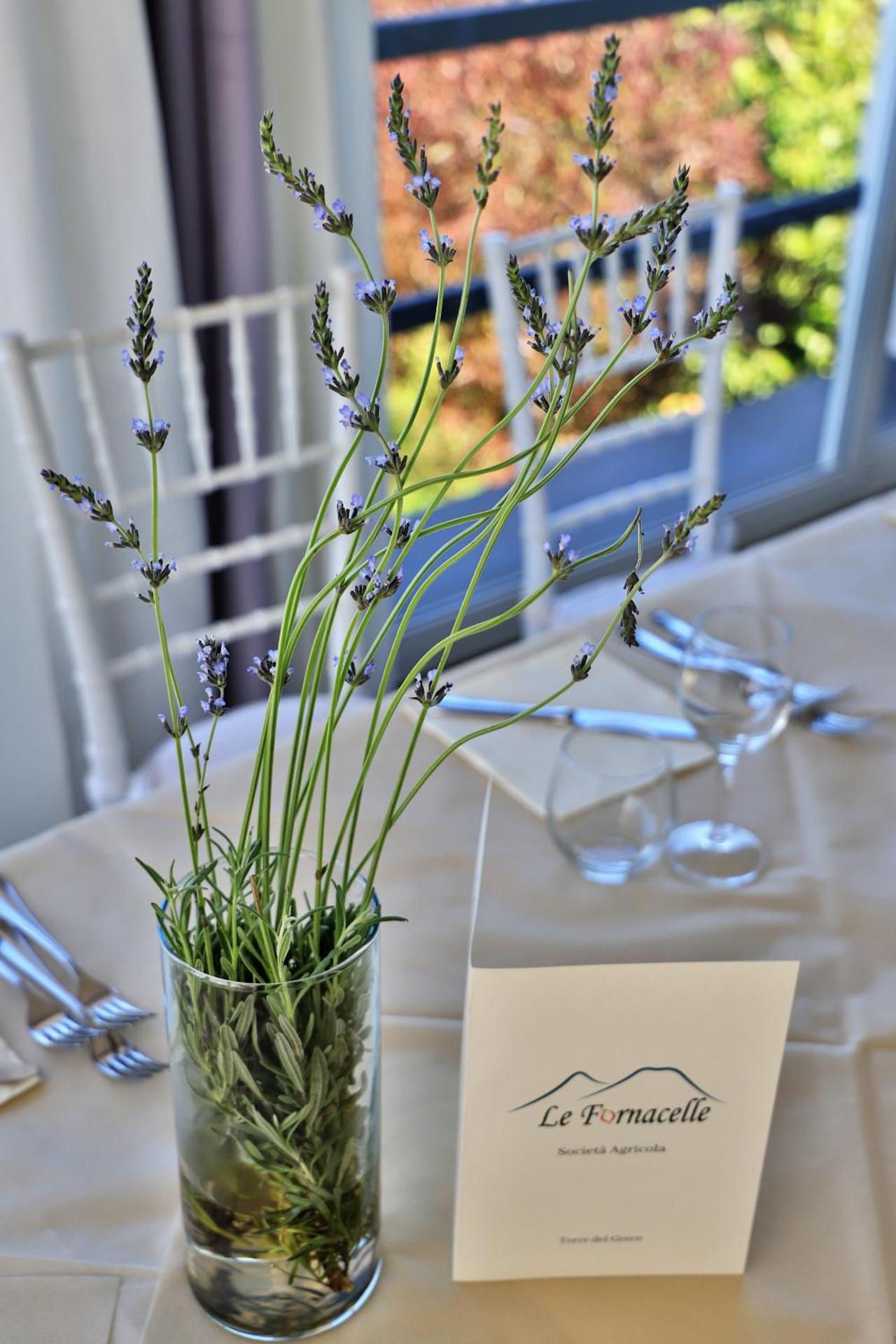 Tenuta Le Fornacelle - Photo 23