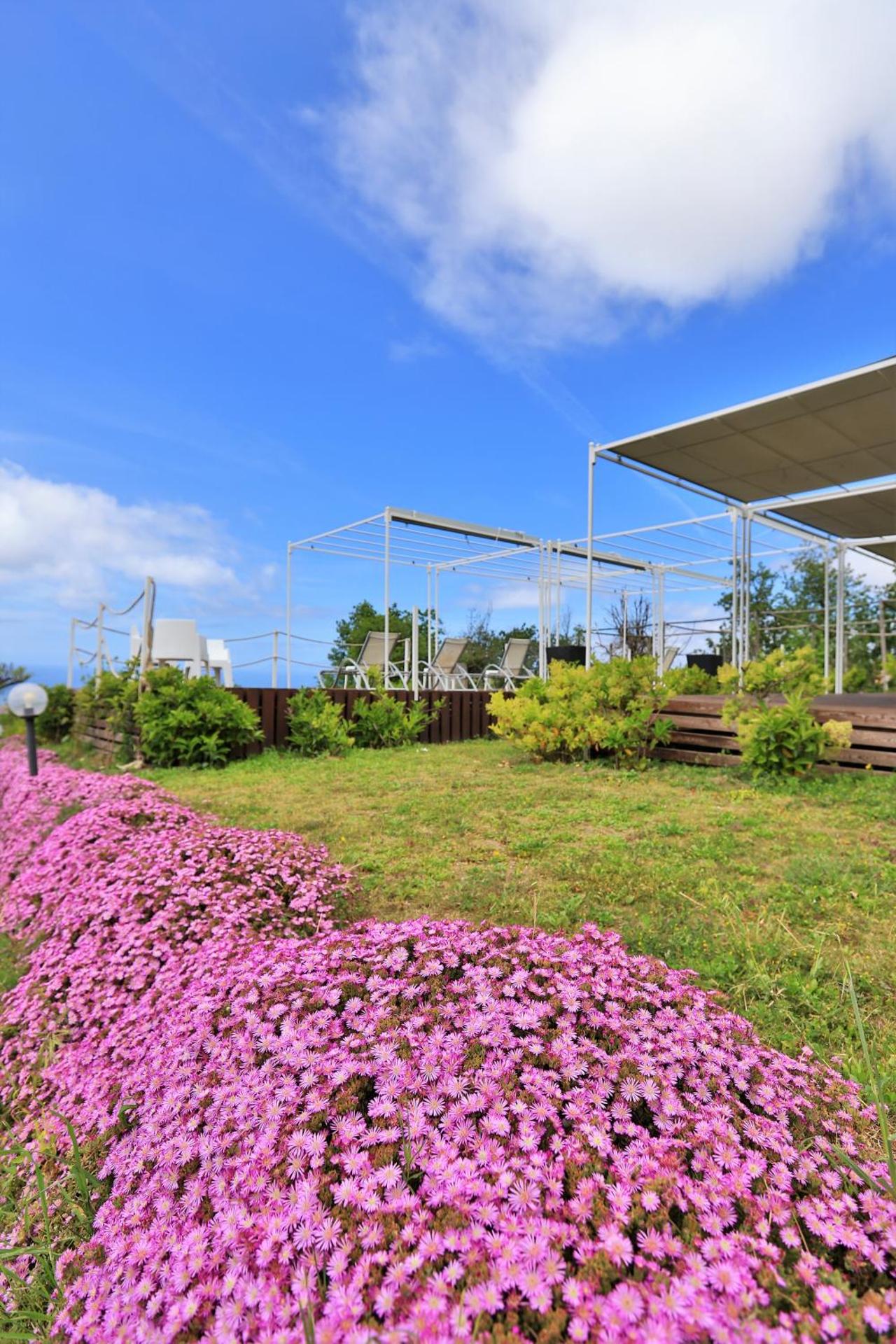 Tenuta Le Fornacelle - Photo 9