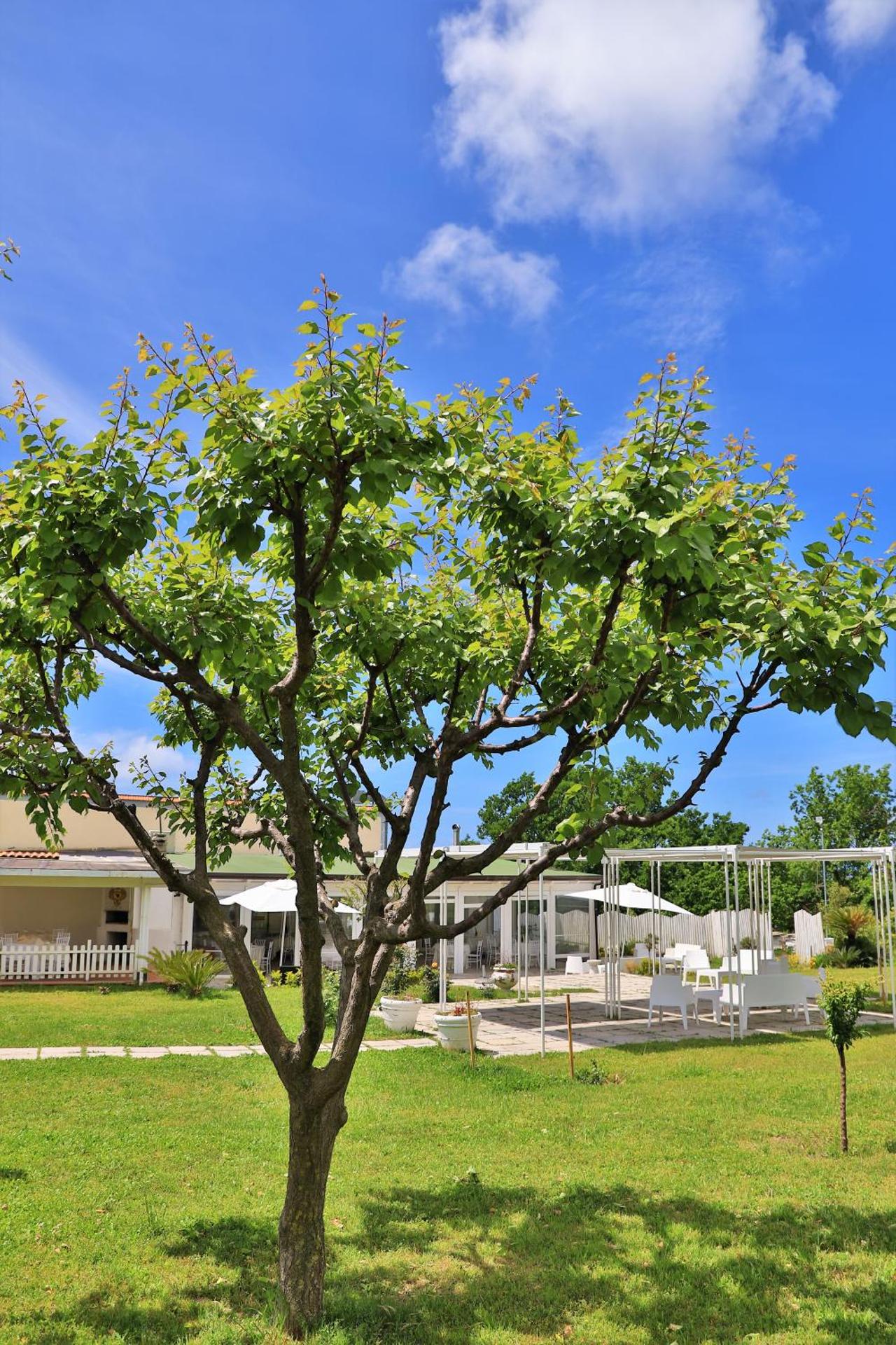 Tenuta Le Fornacelle - Photo 25