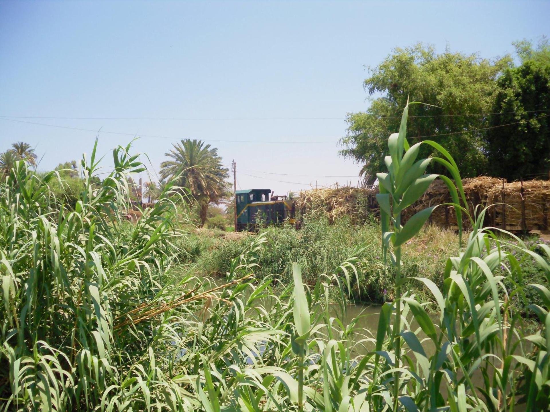 El Mesala Hotel - Photo 120