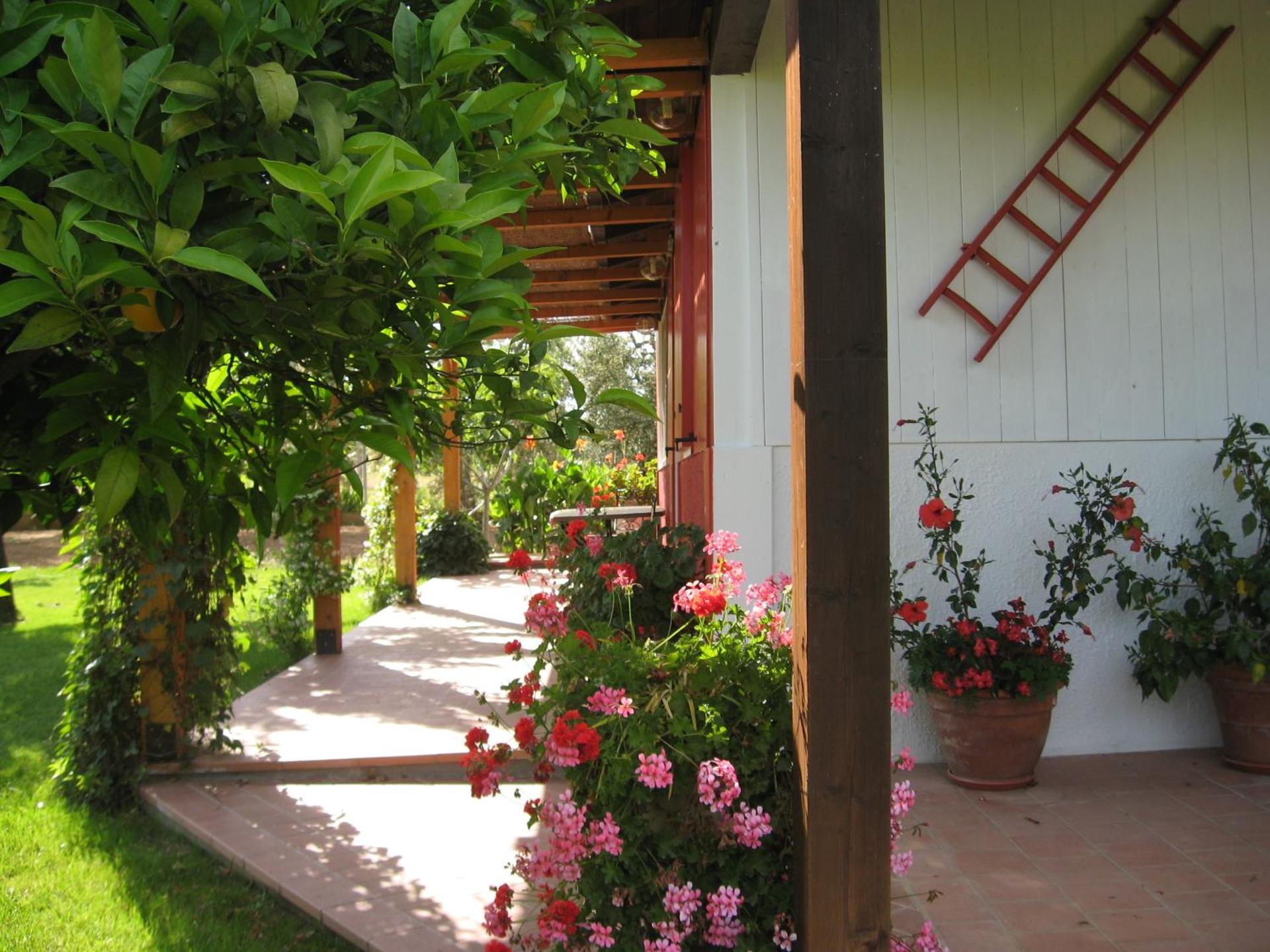 Villa Irene Pisticci-Matera - Photo 56