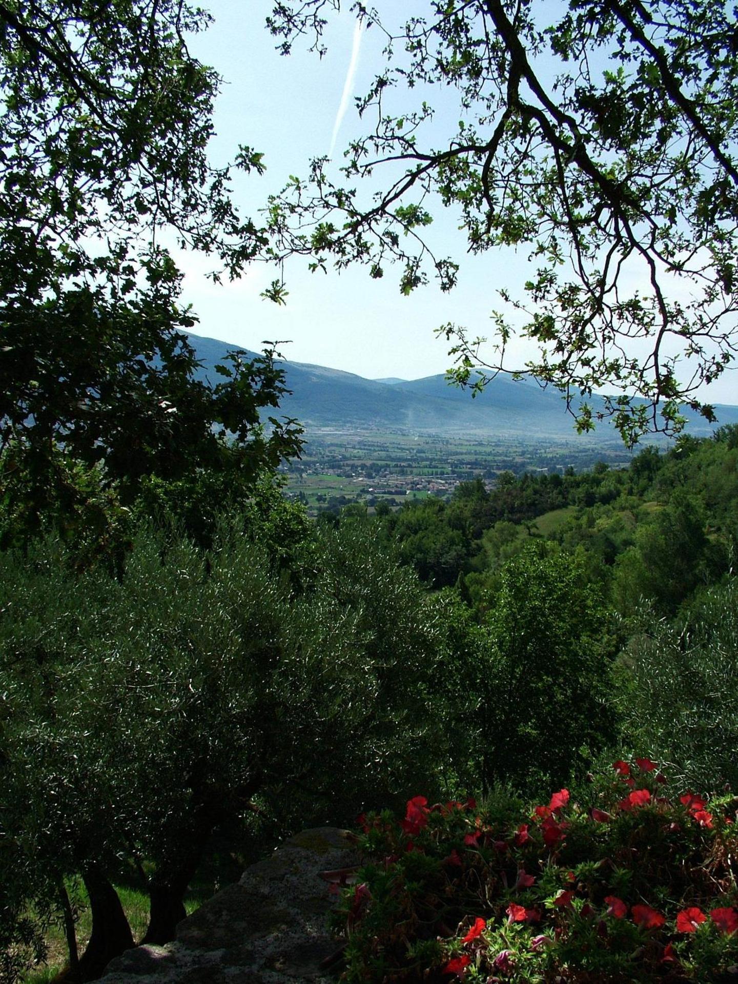 Casale degli ulivi - Photo 74