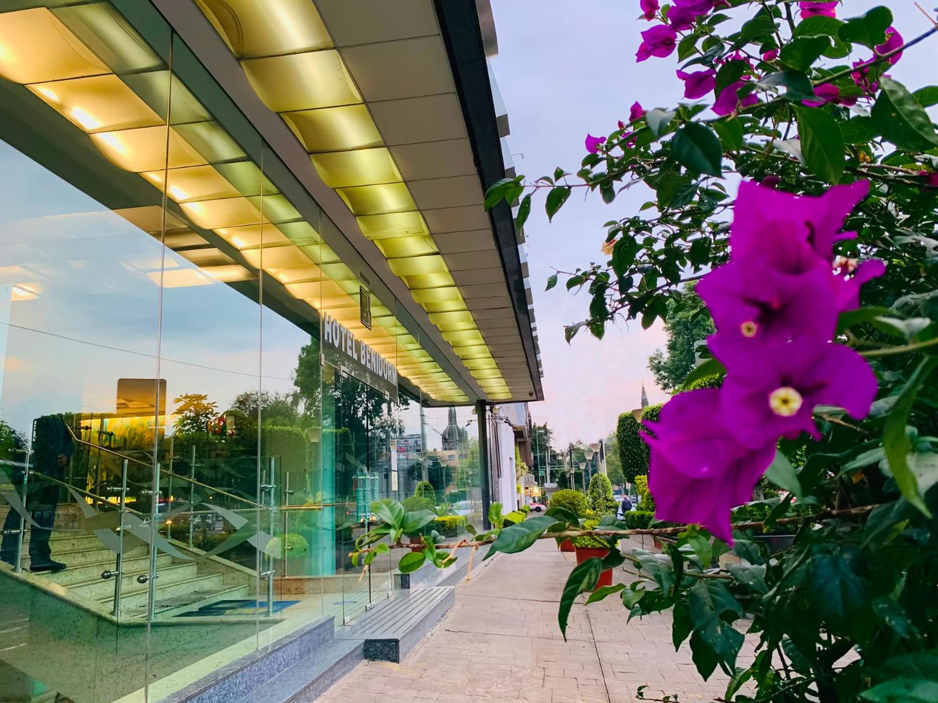 Hotel Benidorm - Photo 56