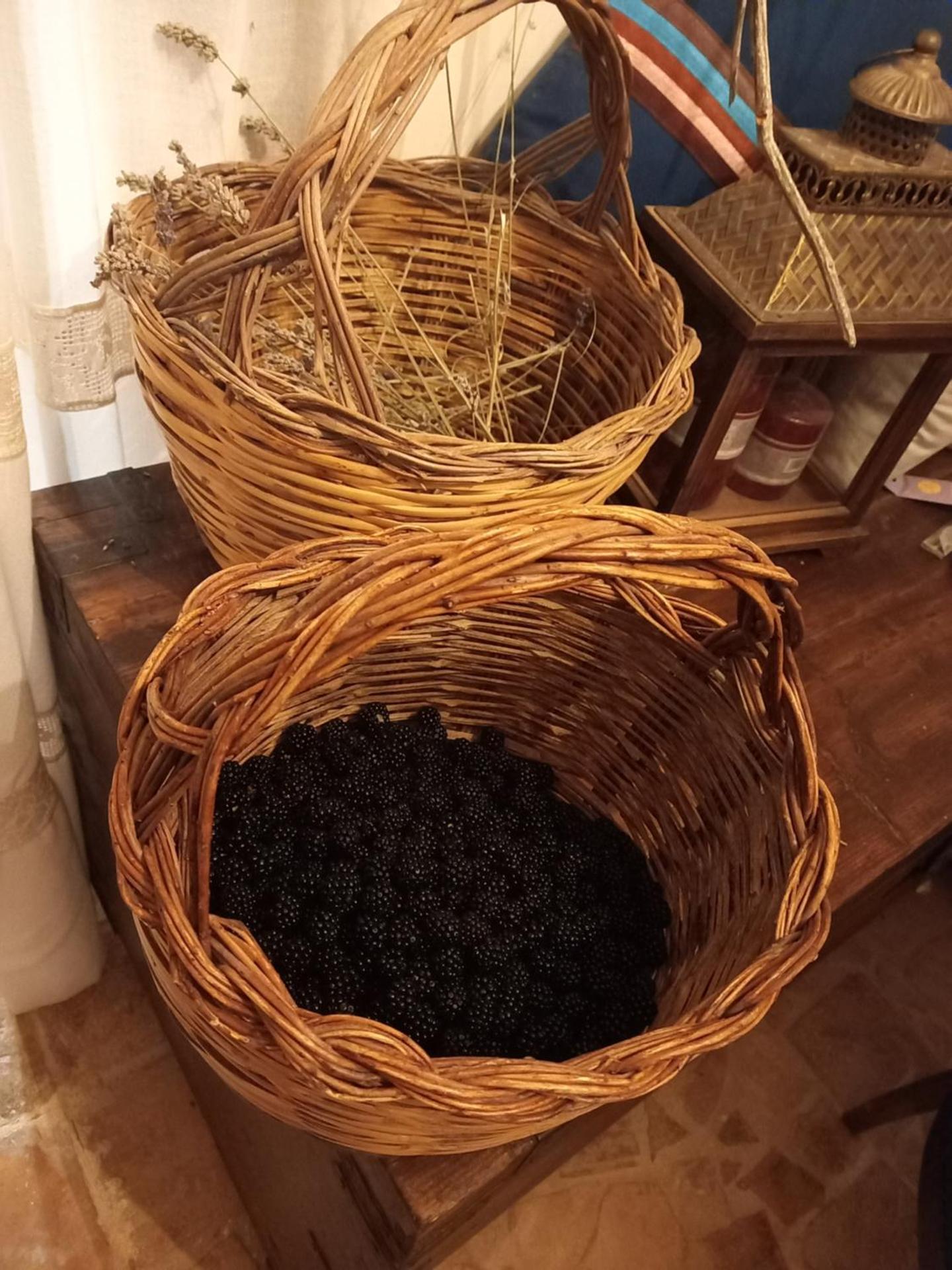 La casa dalle finestre blu - Photo 117