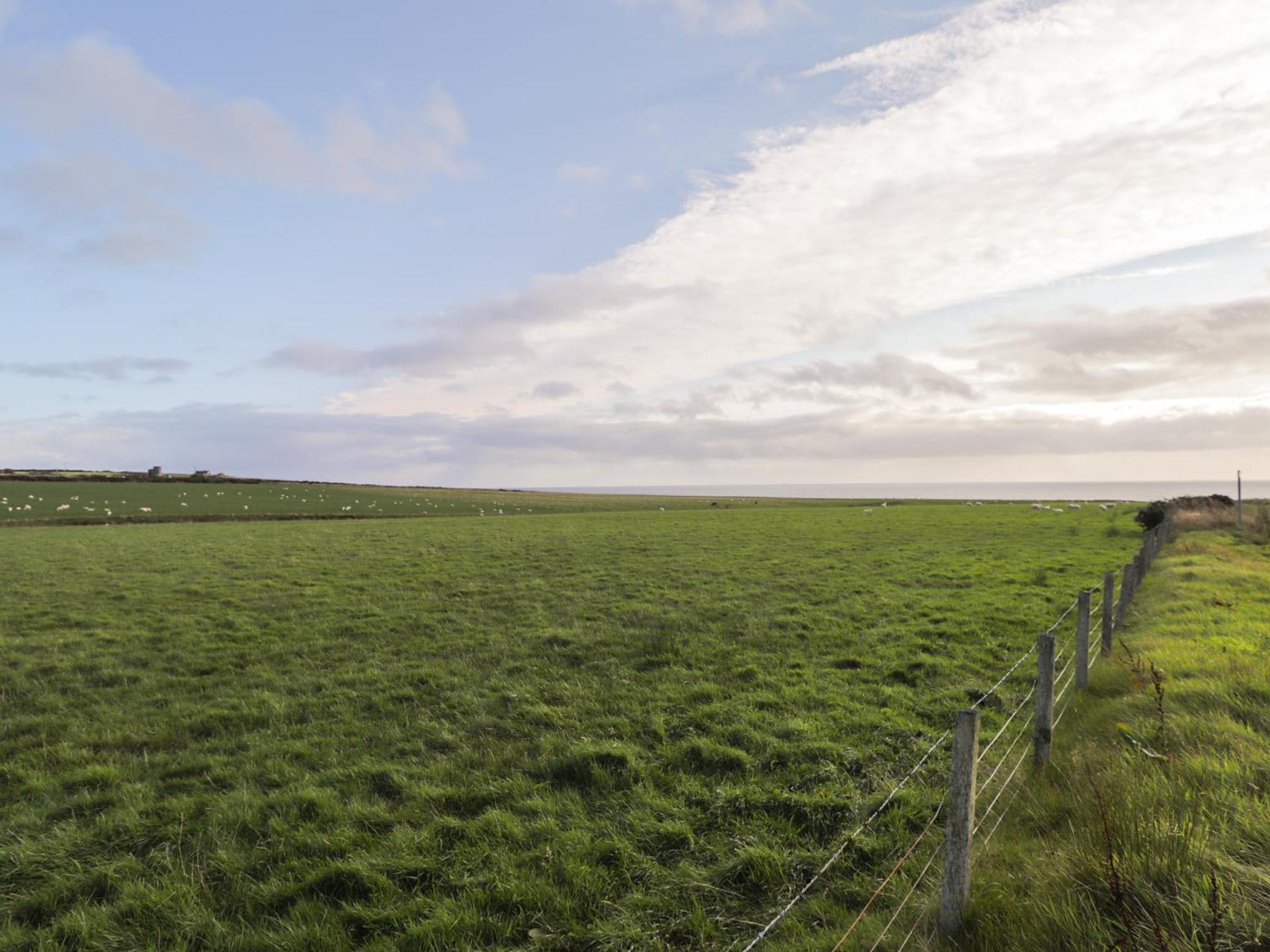 Rose Cottage - Photo 17