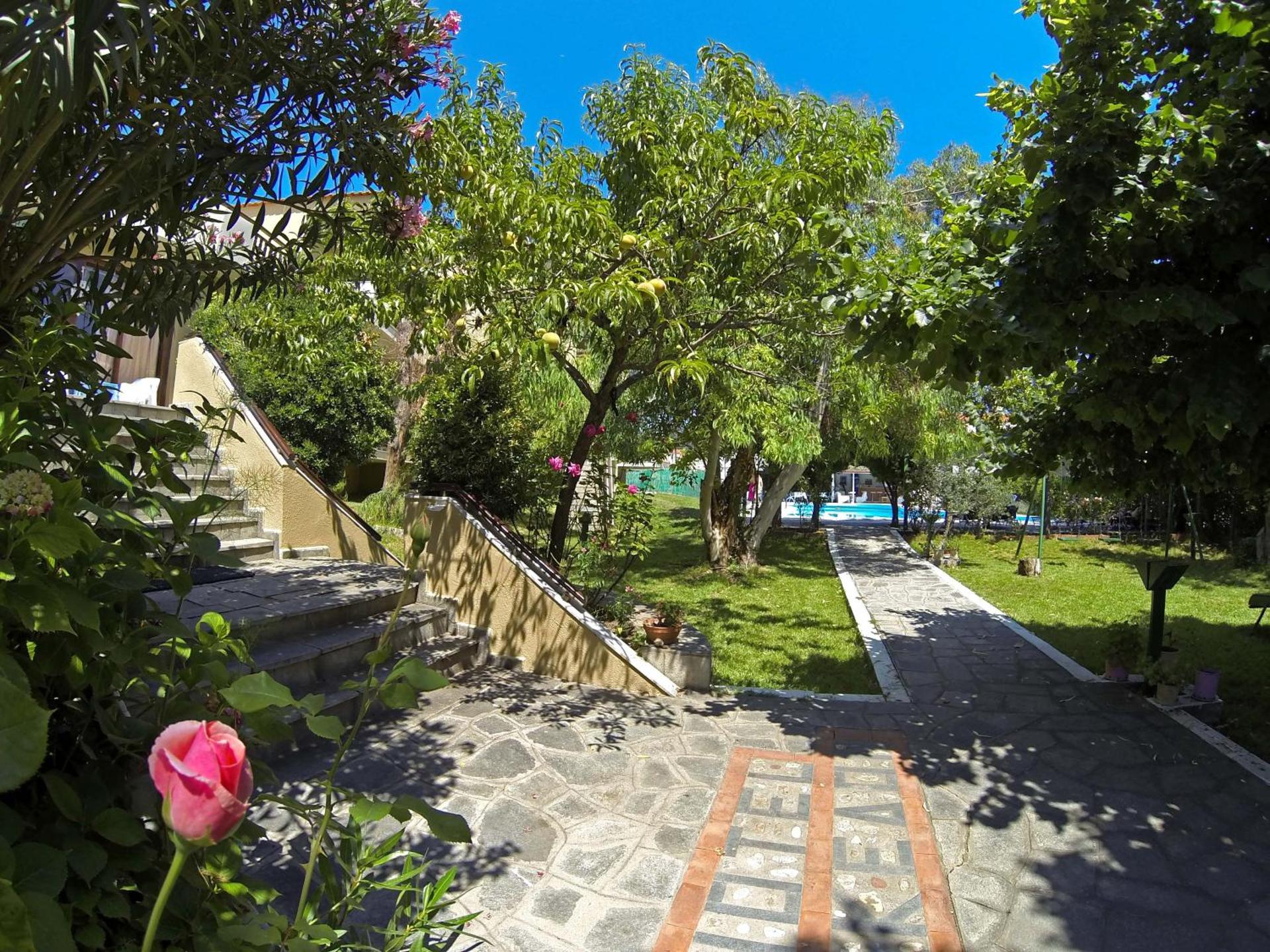 Macedon - Photo 19