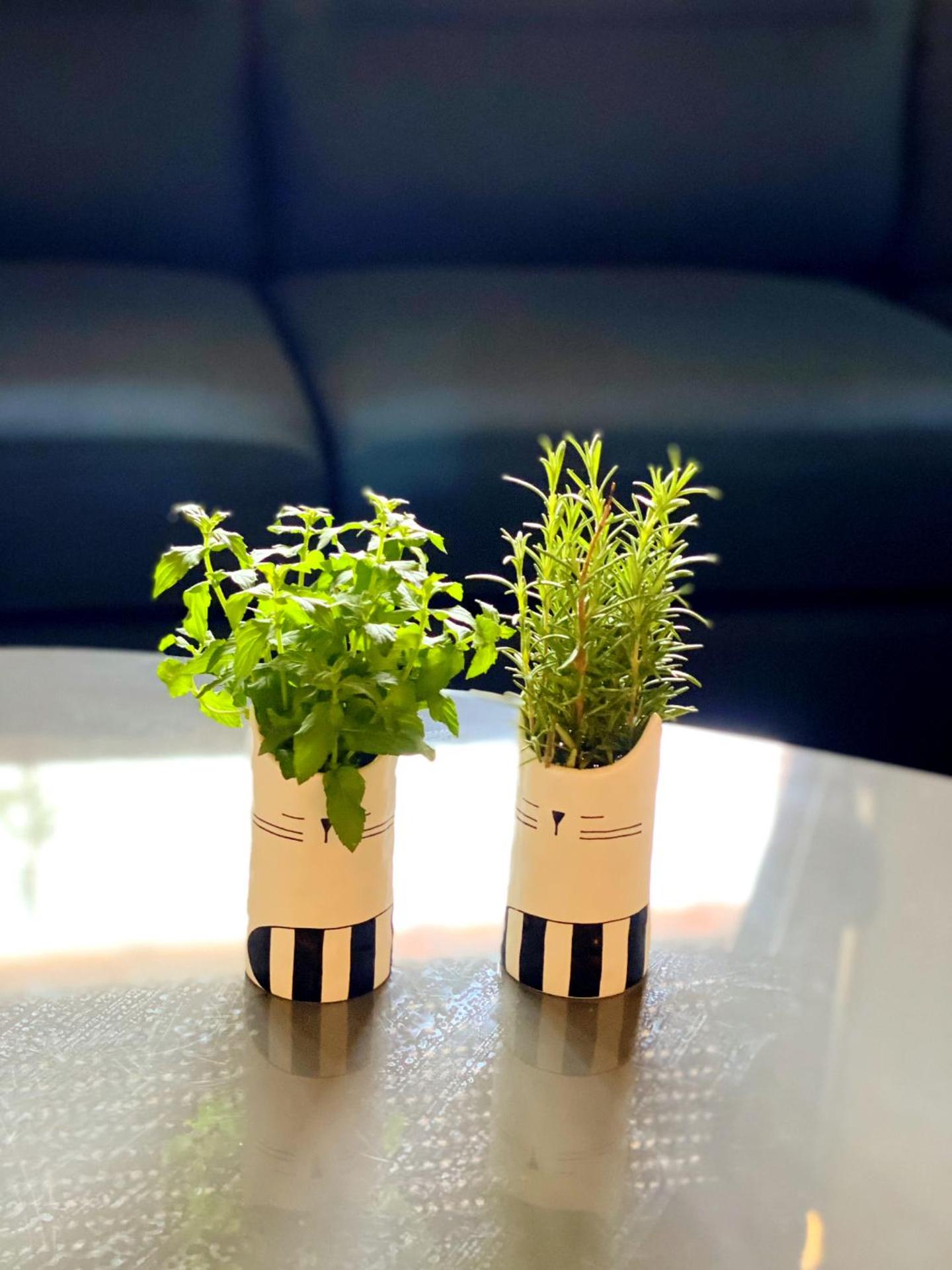 Blerina Farm House - Photo 40