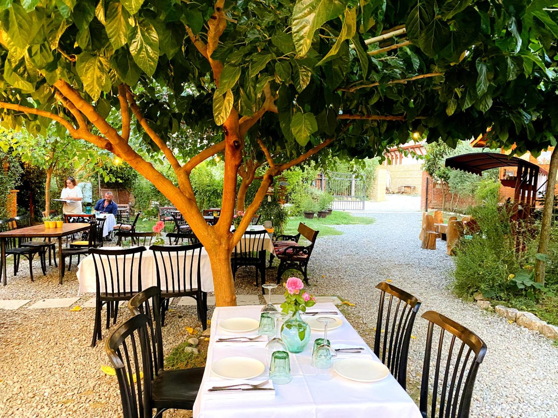 Blerina Farm House - Photo 8