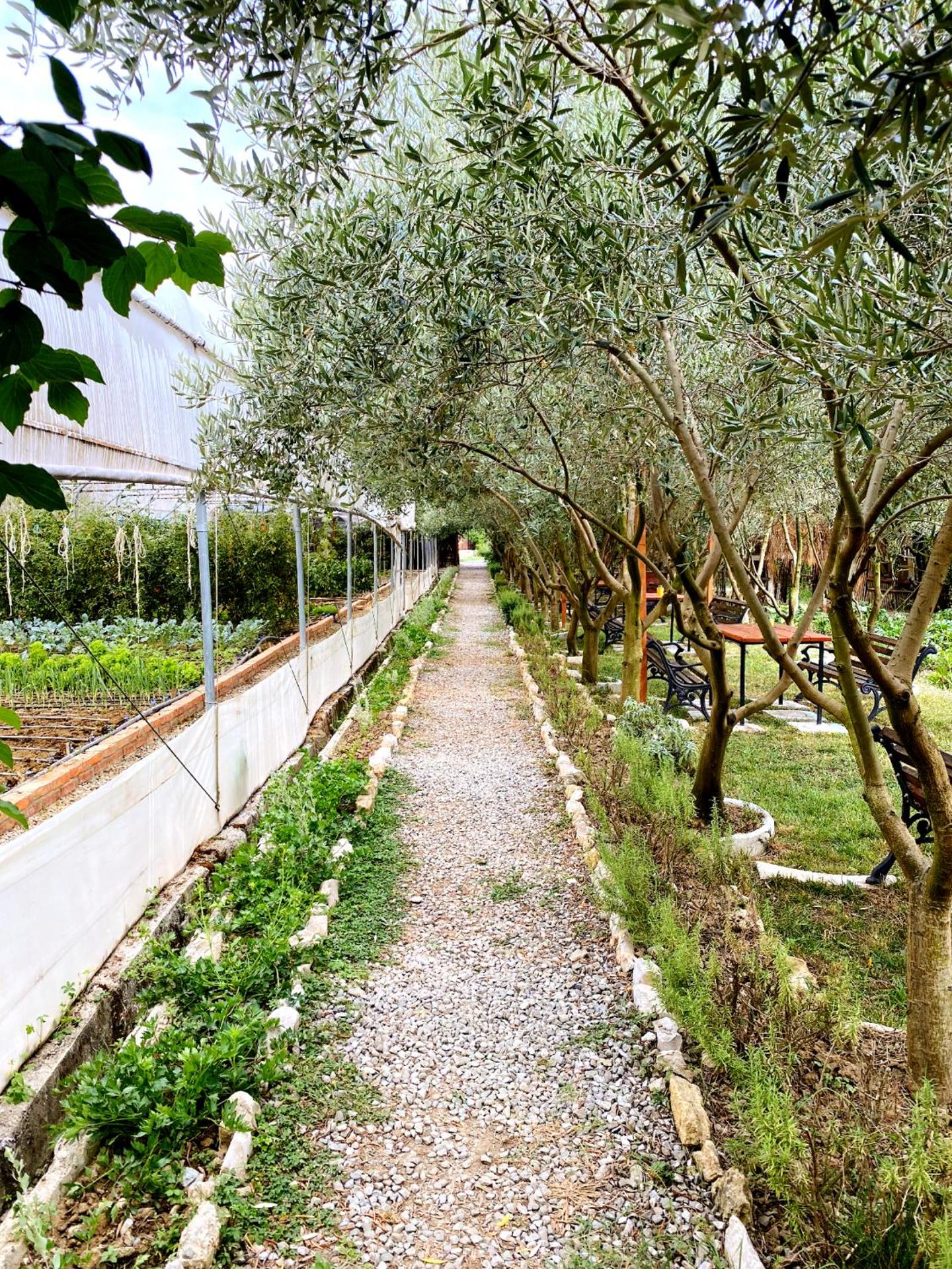 Blerina Farm House - Photo 43