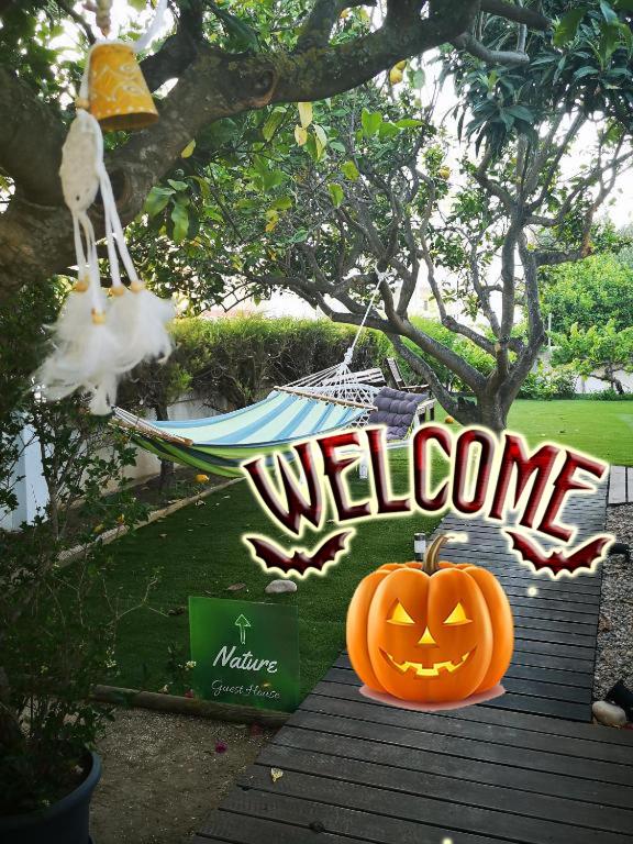 Nature Guesthouse - Photo 130