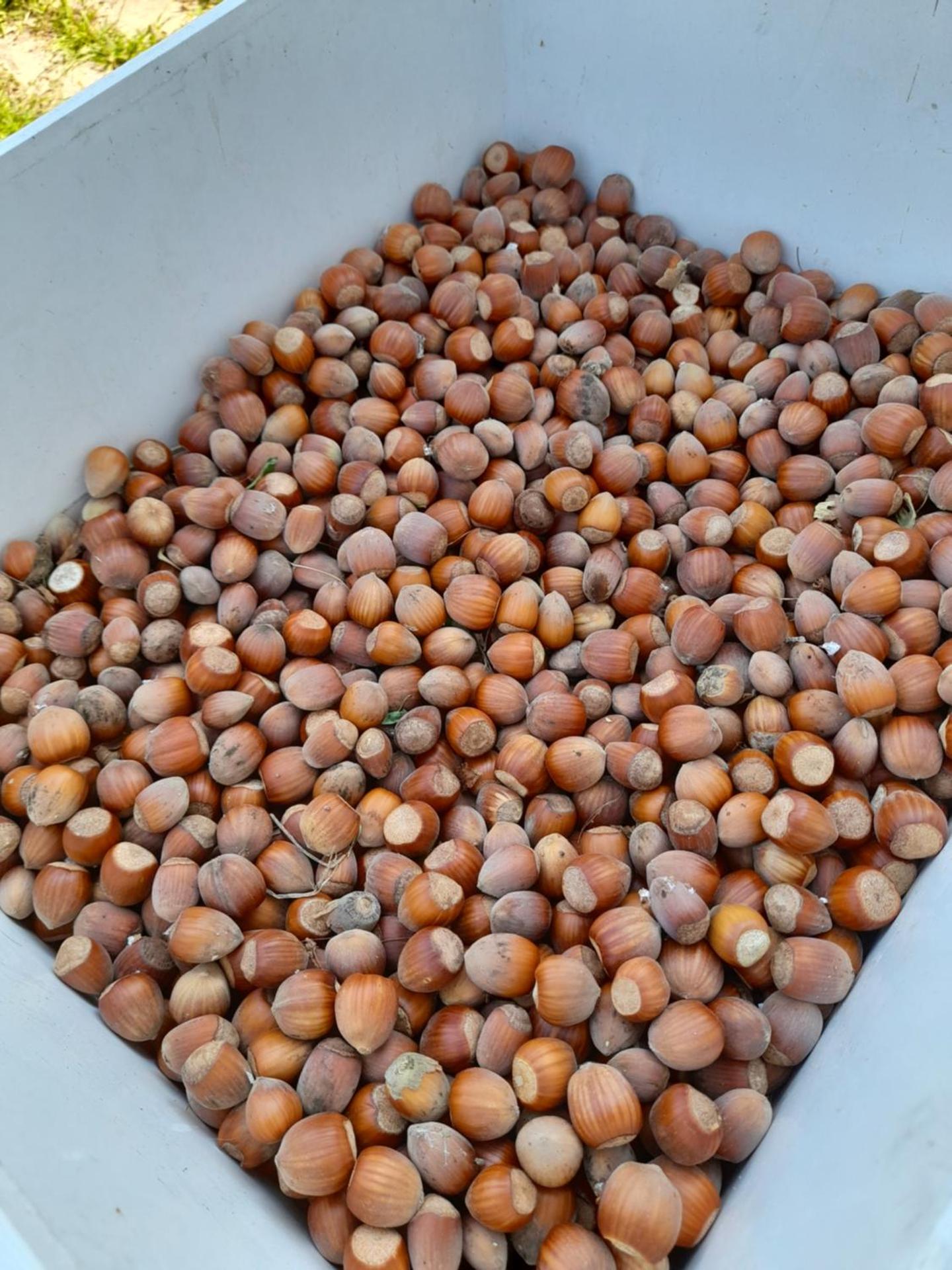 Chateau Sukaj - Photo 28