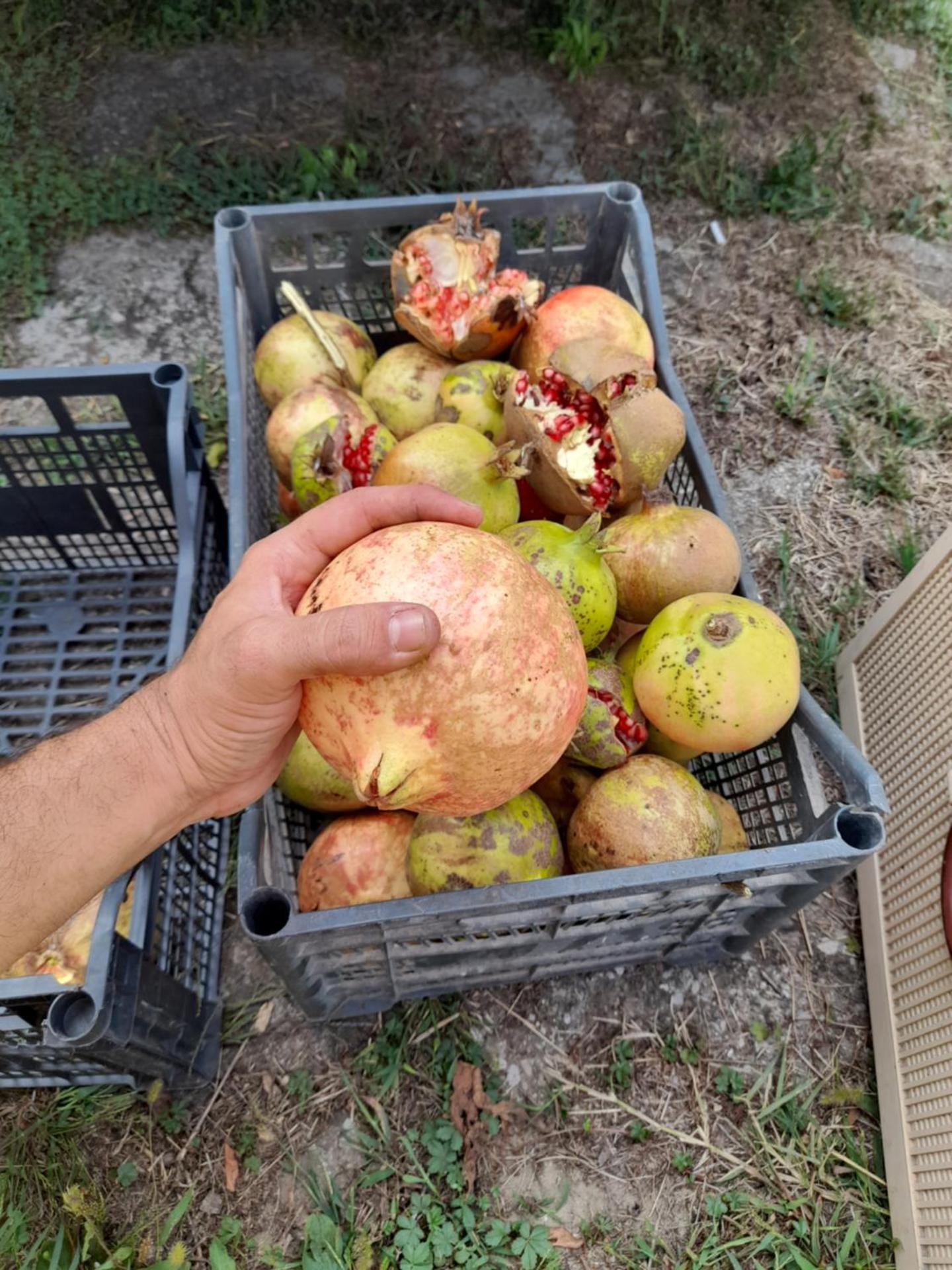 Chateau Sukaj - Photo 24