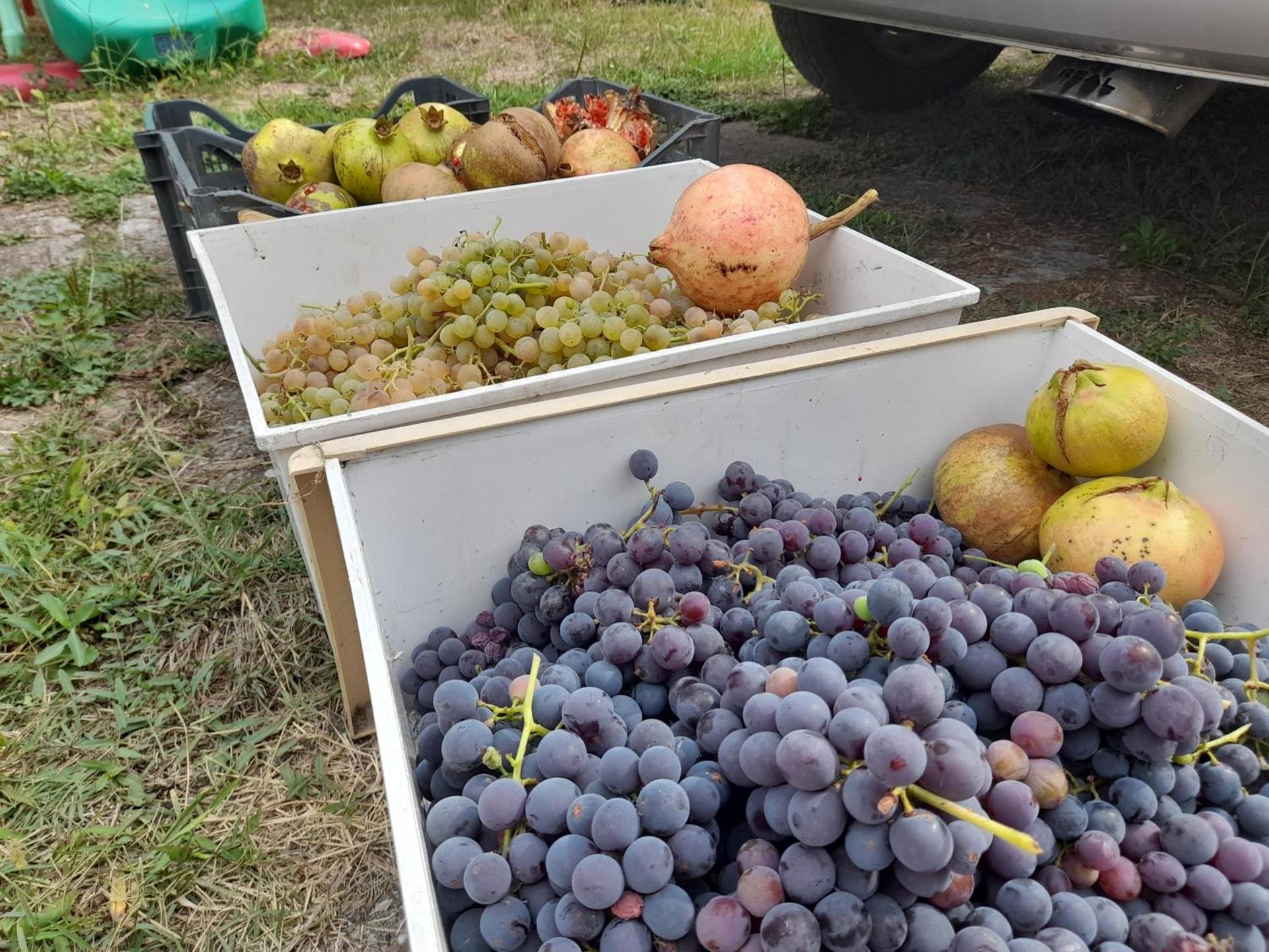 Chateau Sukaj - Photo 23