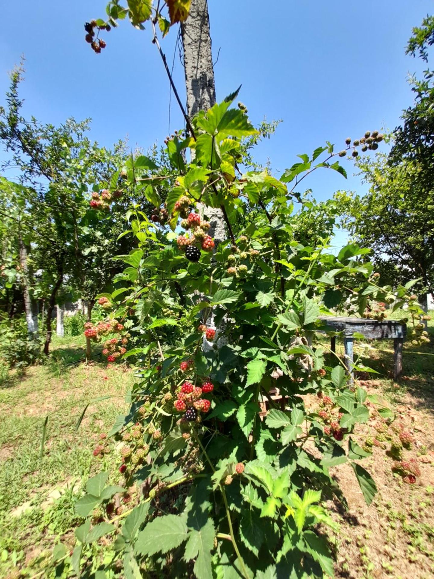 Chateau Sukaj - Photo 22