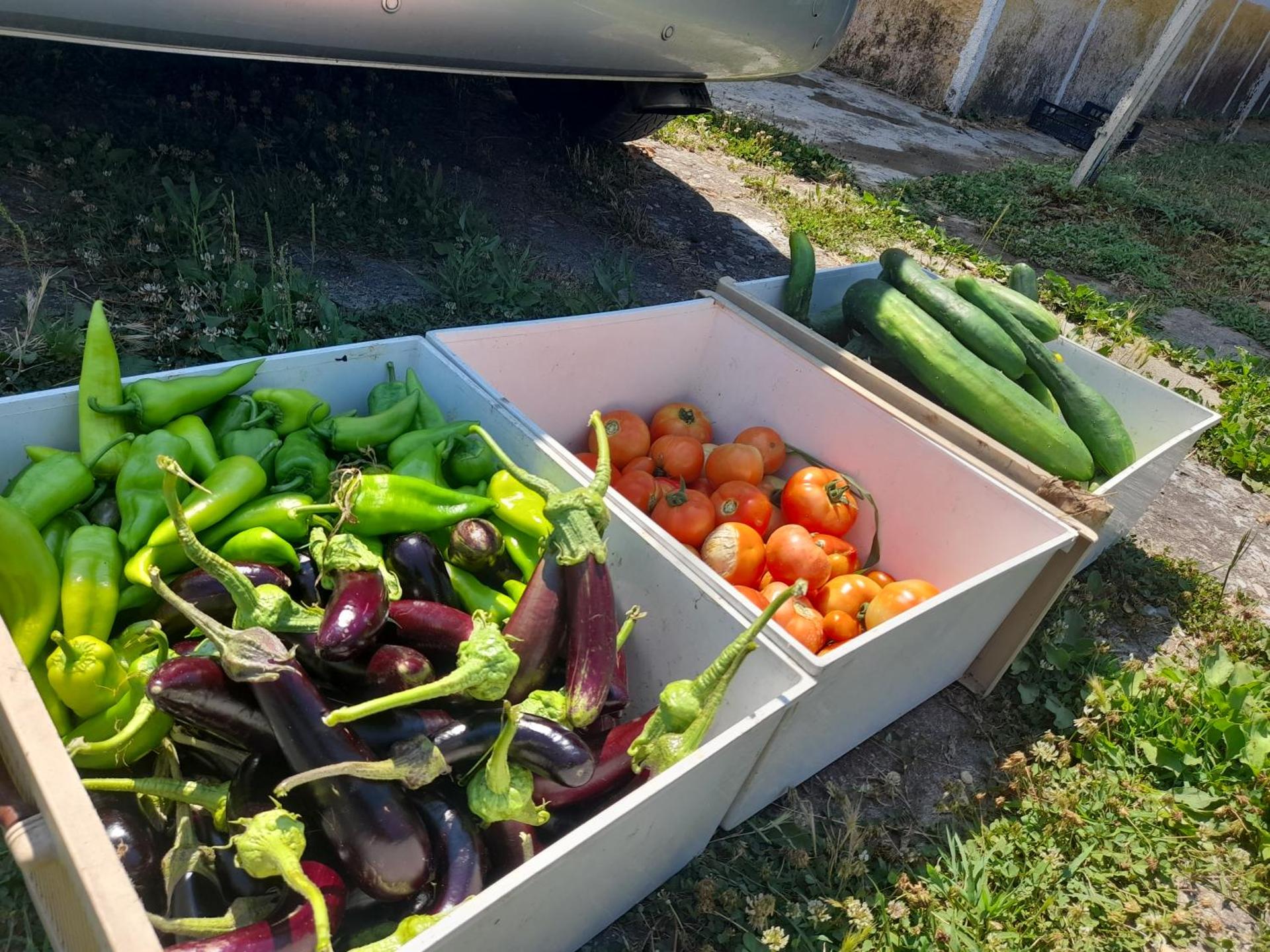 Chateau Sukaj - Photo 25