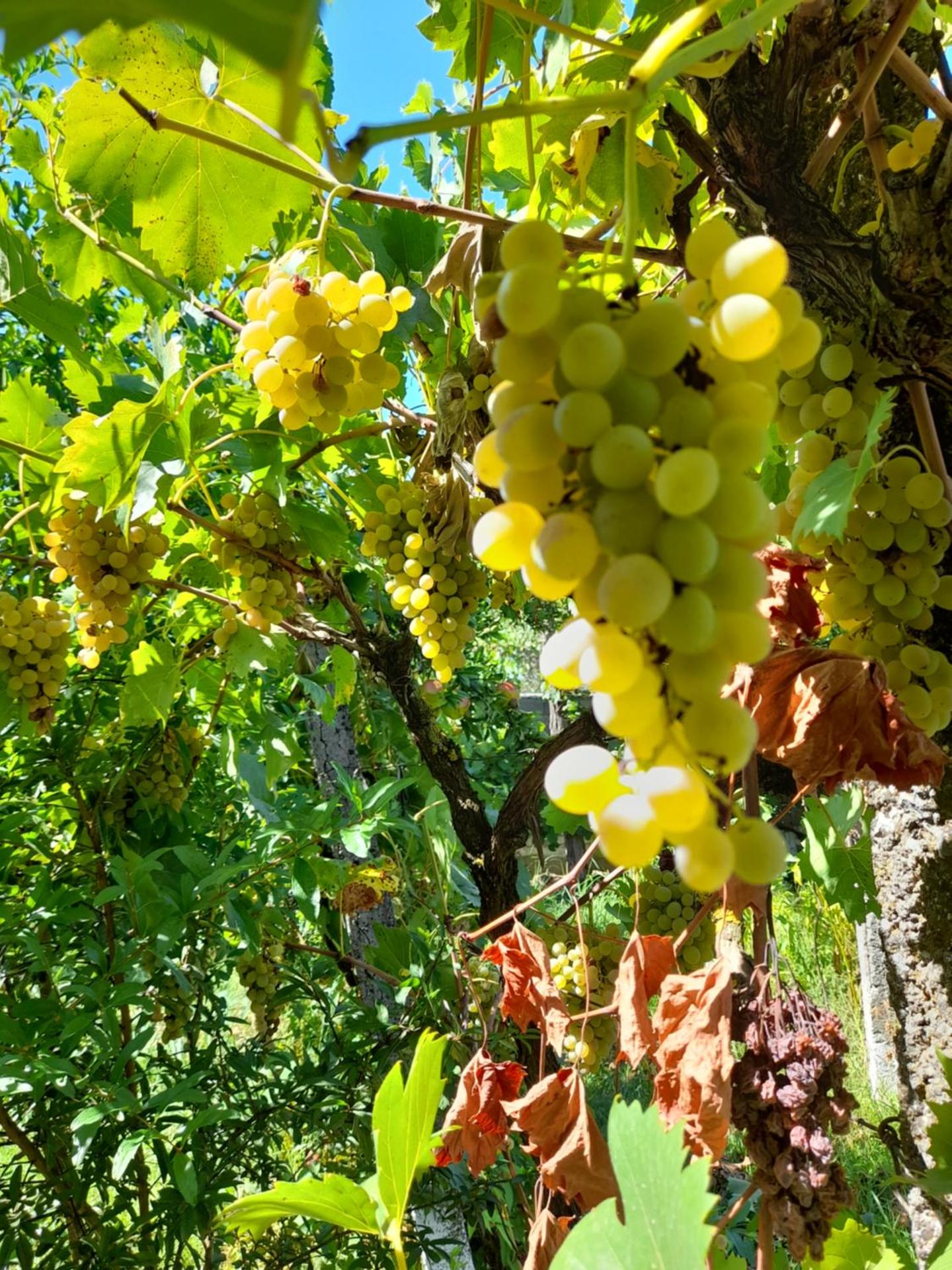 Chateau Sukaj - Photo 27