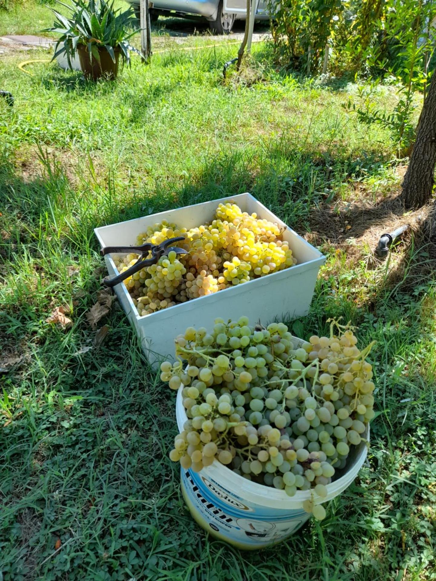 Chateau Sukaj - Photo 29