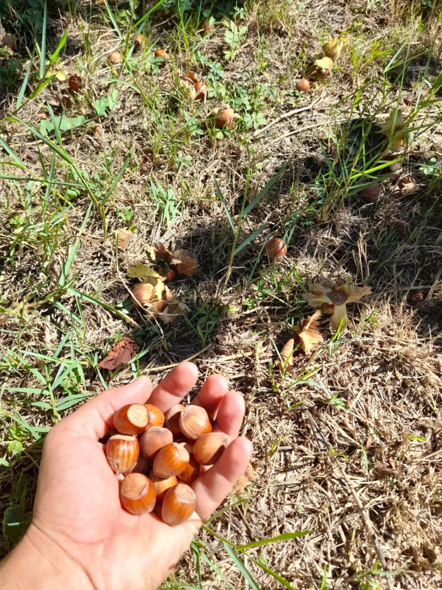 Chateau Sukaj - Photo 30