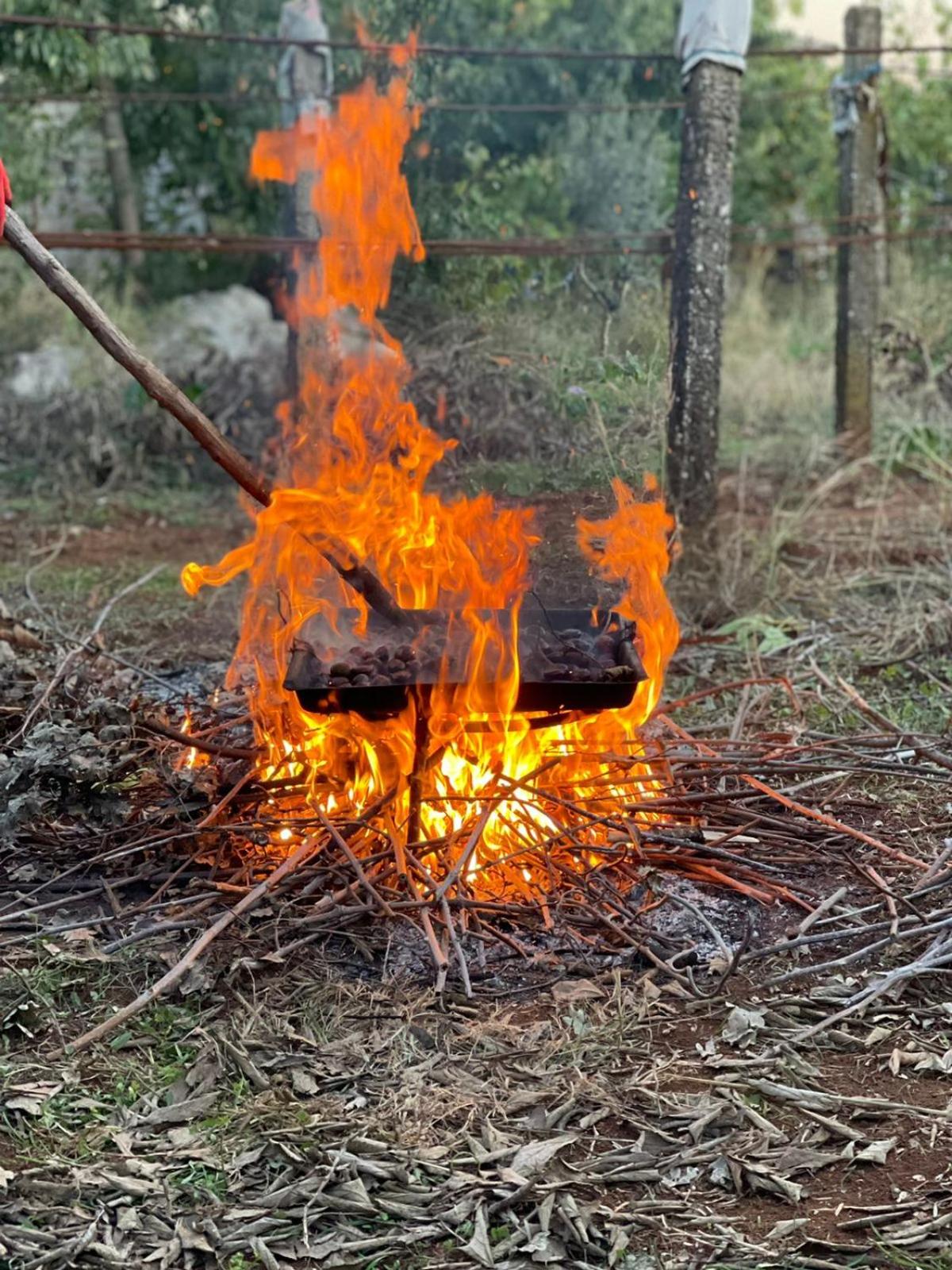 Chateau Sukaj - Photo 31
