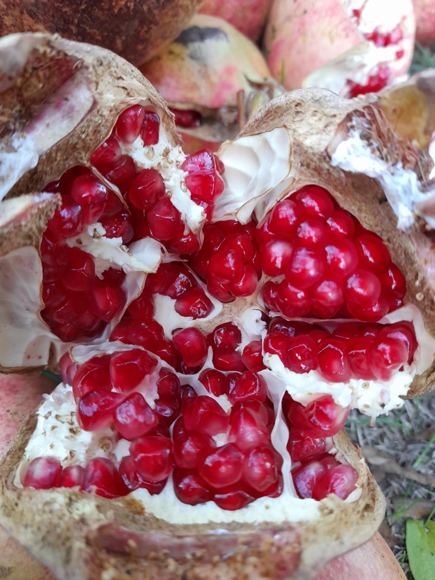 Chateau Sukaj - Photo 8