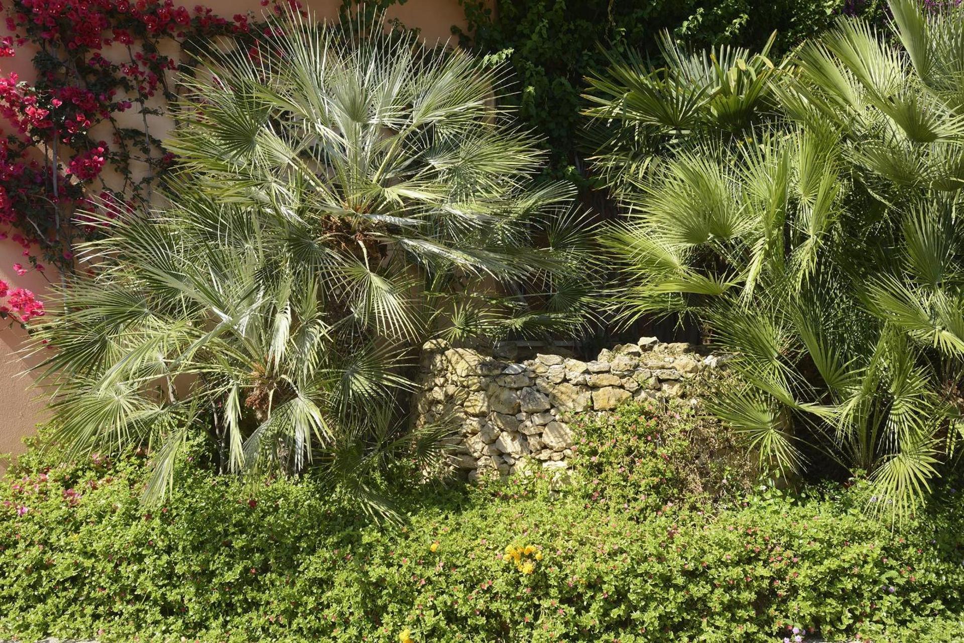 Hotel Oasis - Photo 78