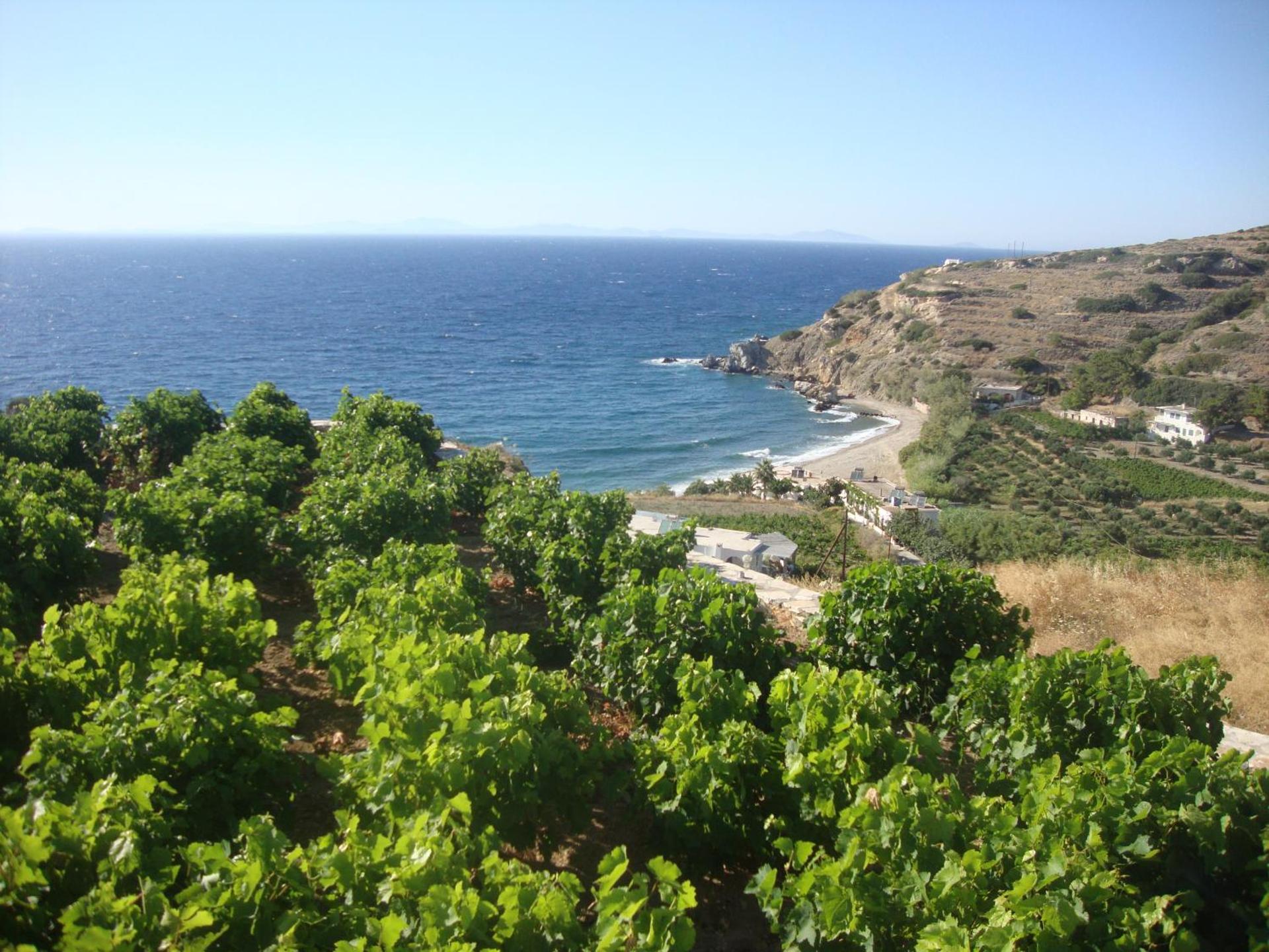 Villa Athina - Photo 34