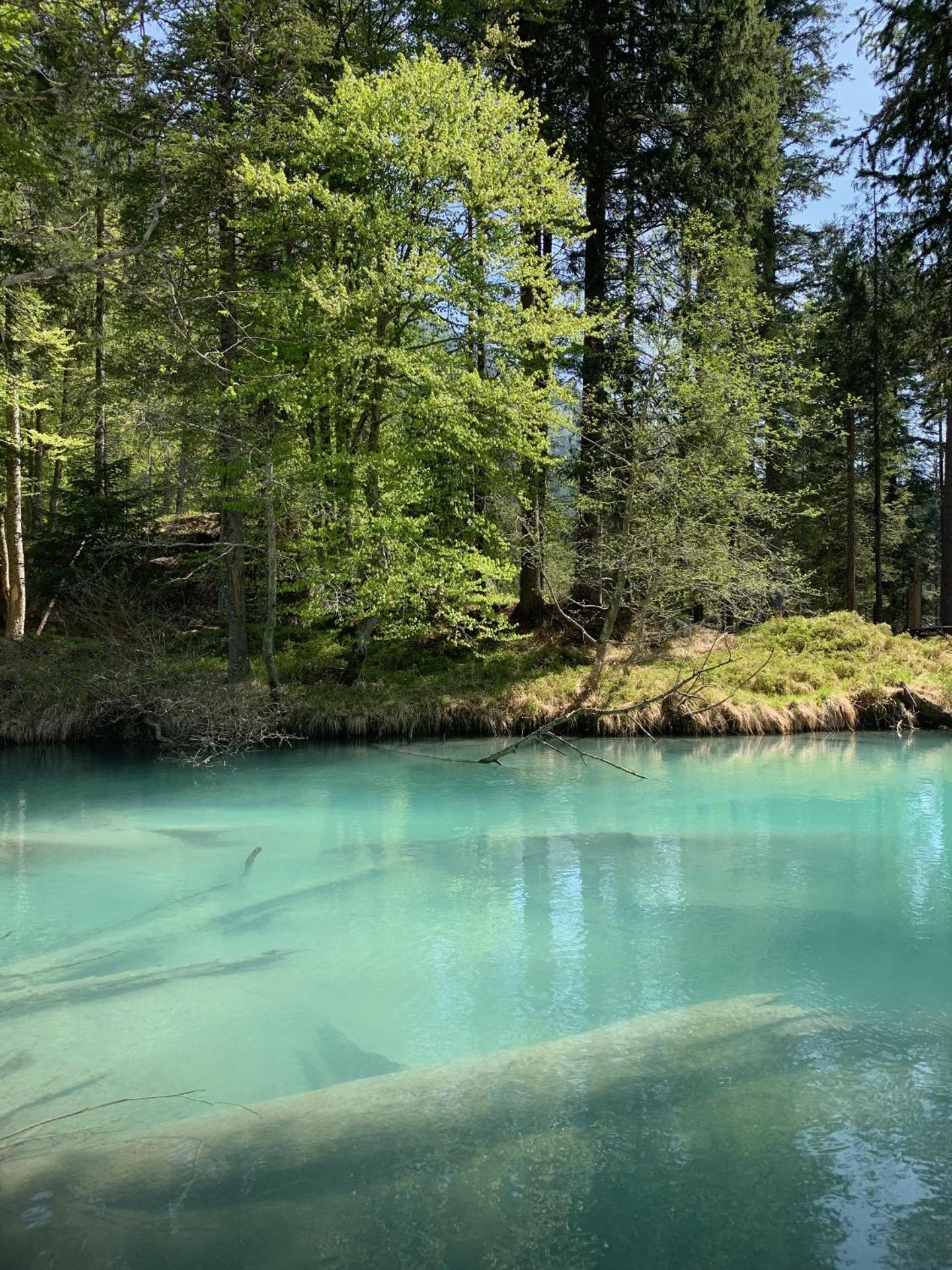 Hotel Pinzolo-Dolomiti - Photo 31