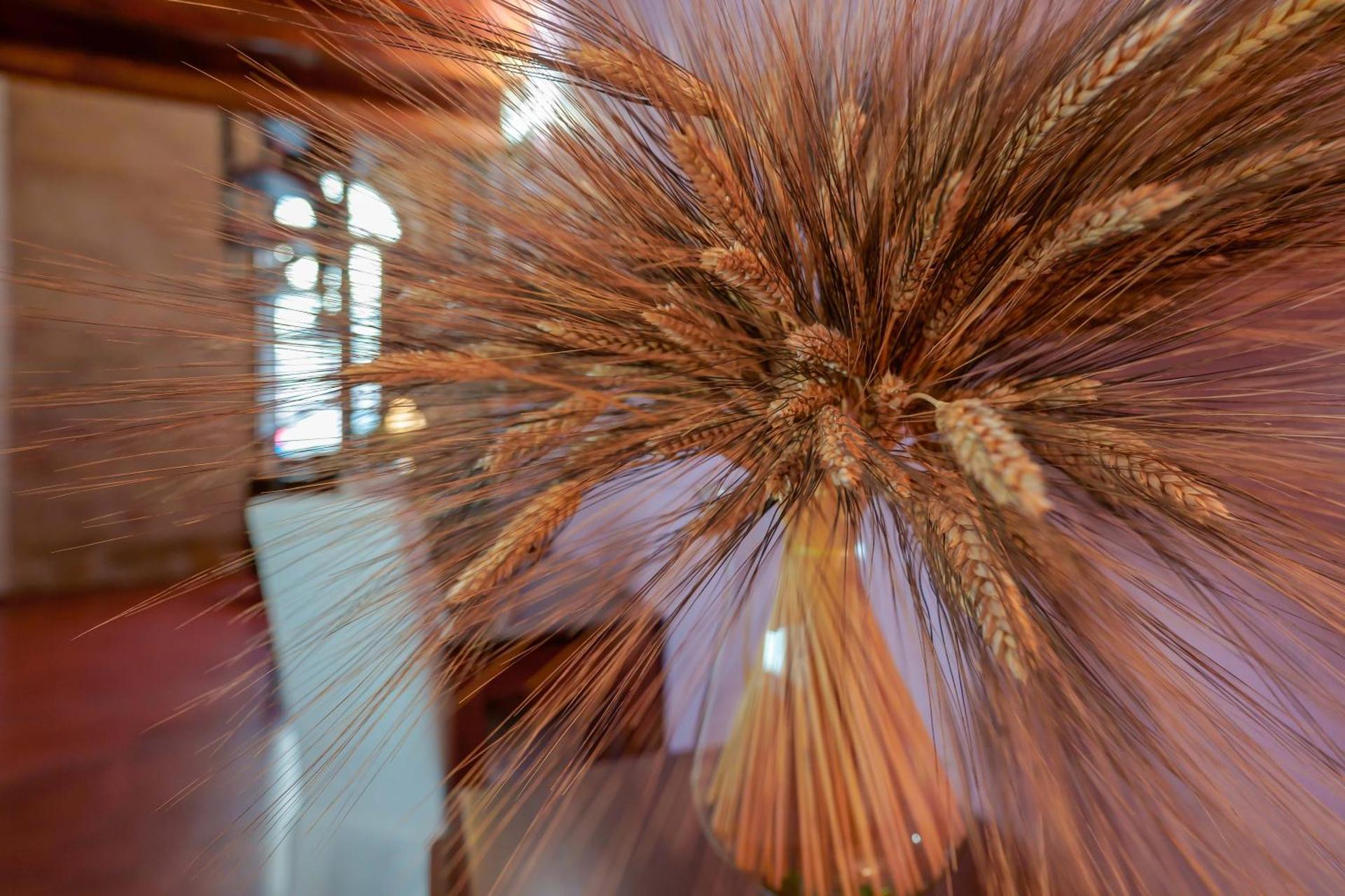 Sa Domu Cheta - Photo 24