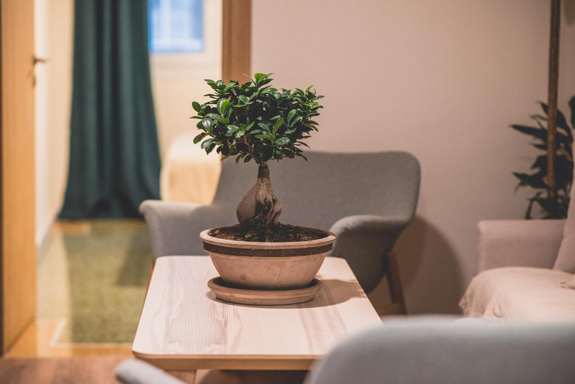 Luxury Apartment with Acropolis view Terrace and Jacuzzi in the Heart of Athens - Living Stone Azurite - Photo 28