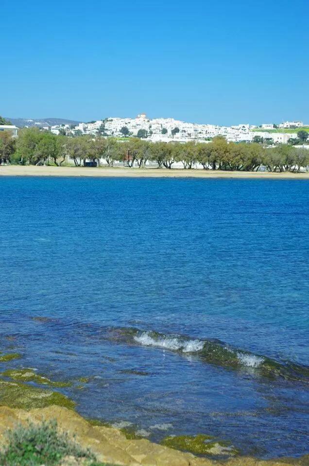 Oasis Studios Logaras - Photo 20