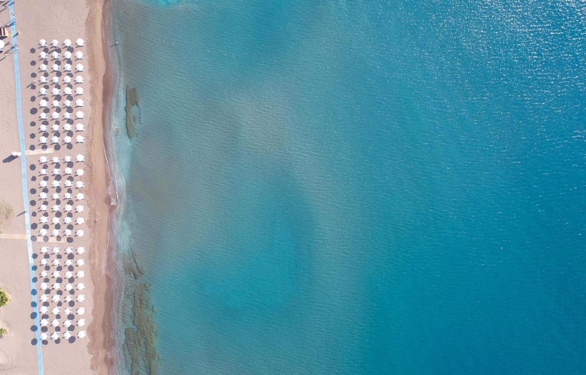 Apollo Blue - Photo 54