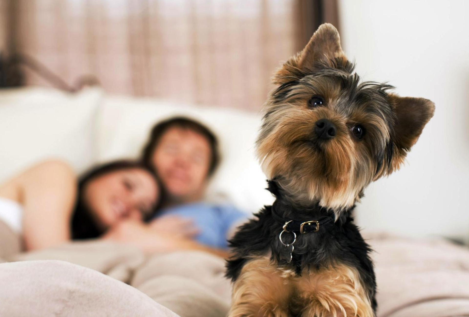 Hotel Cristallo di La Rosetta Srl - Photo 61