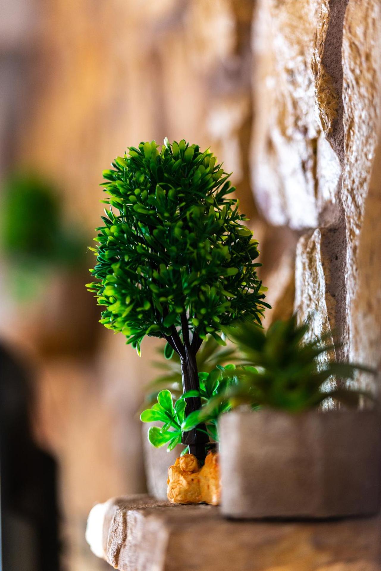 La Moara Boutique Hotel - Photo 65