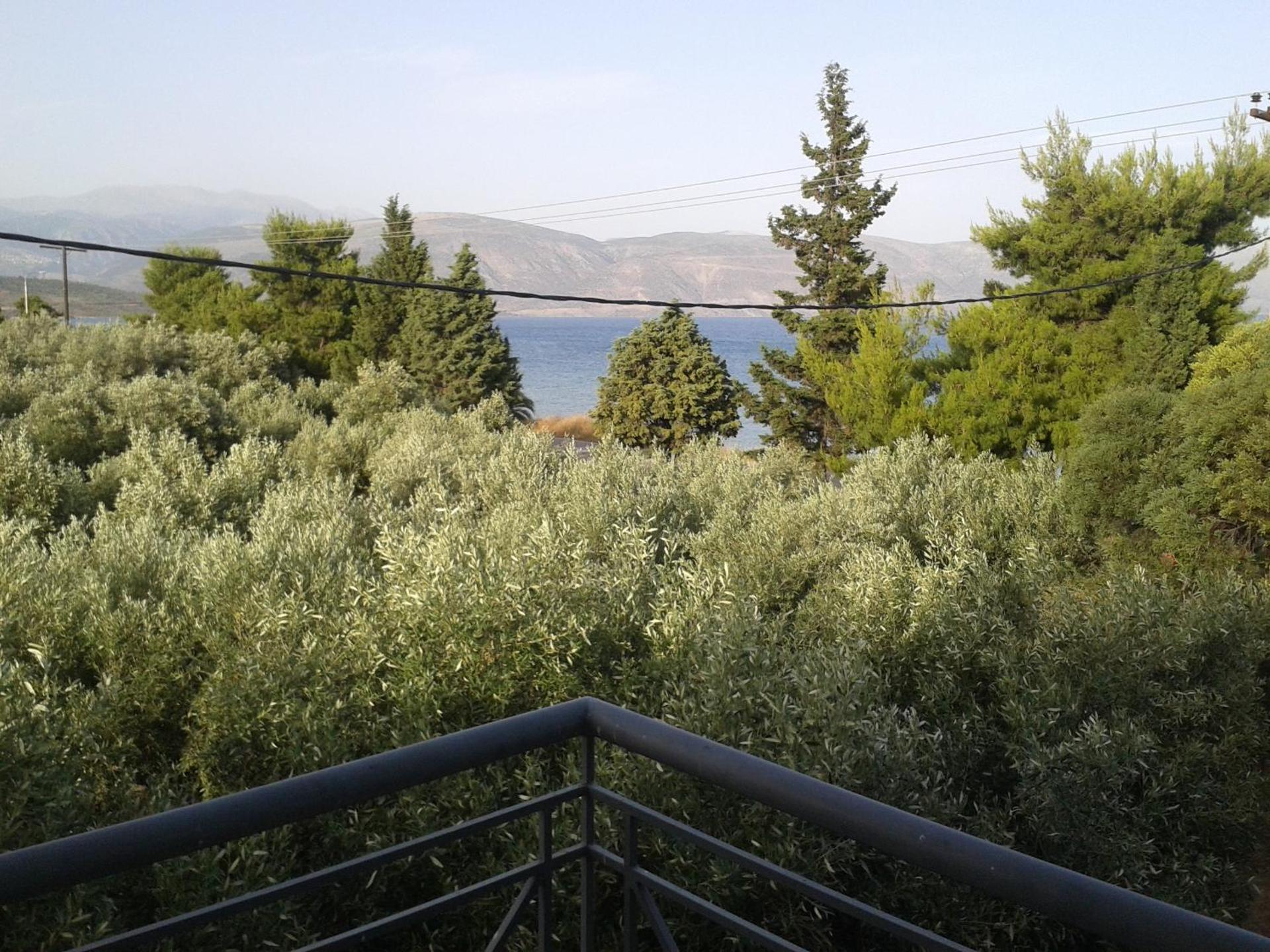 Elea Guesthouse - Photo 19