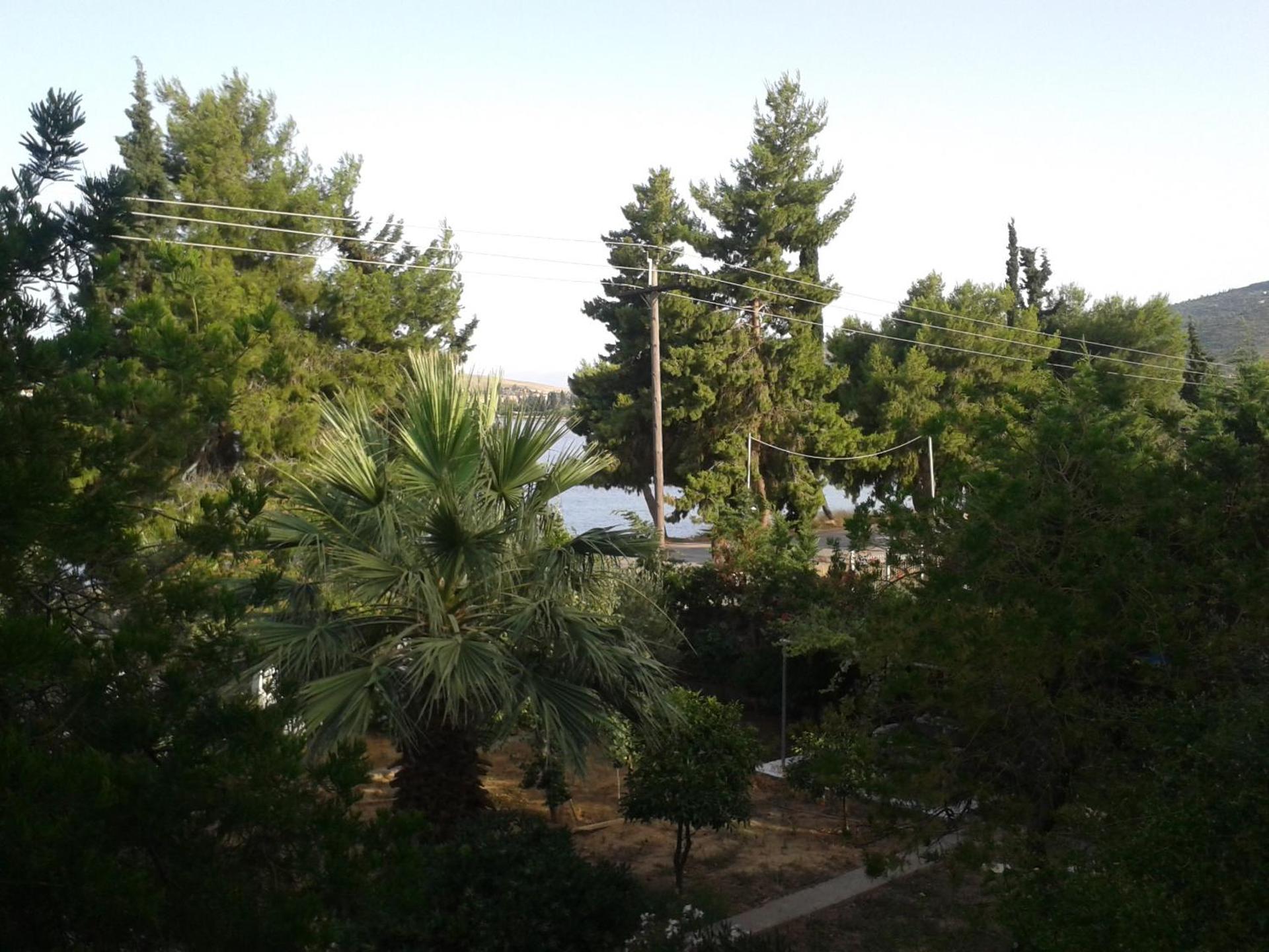 Elea Guesthouse - Photo 63