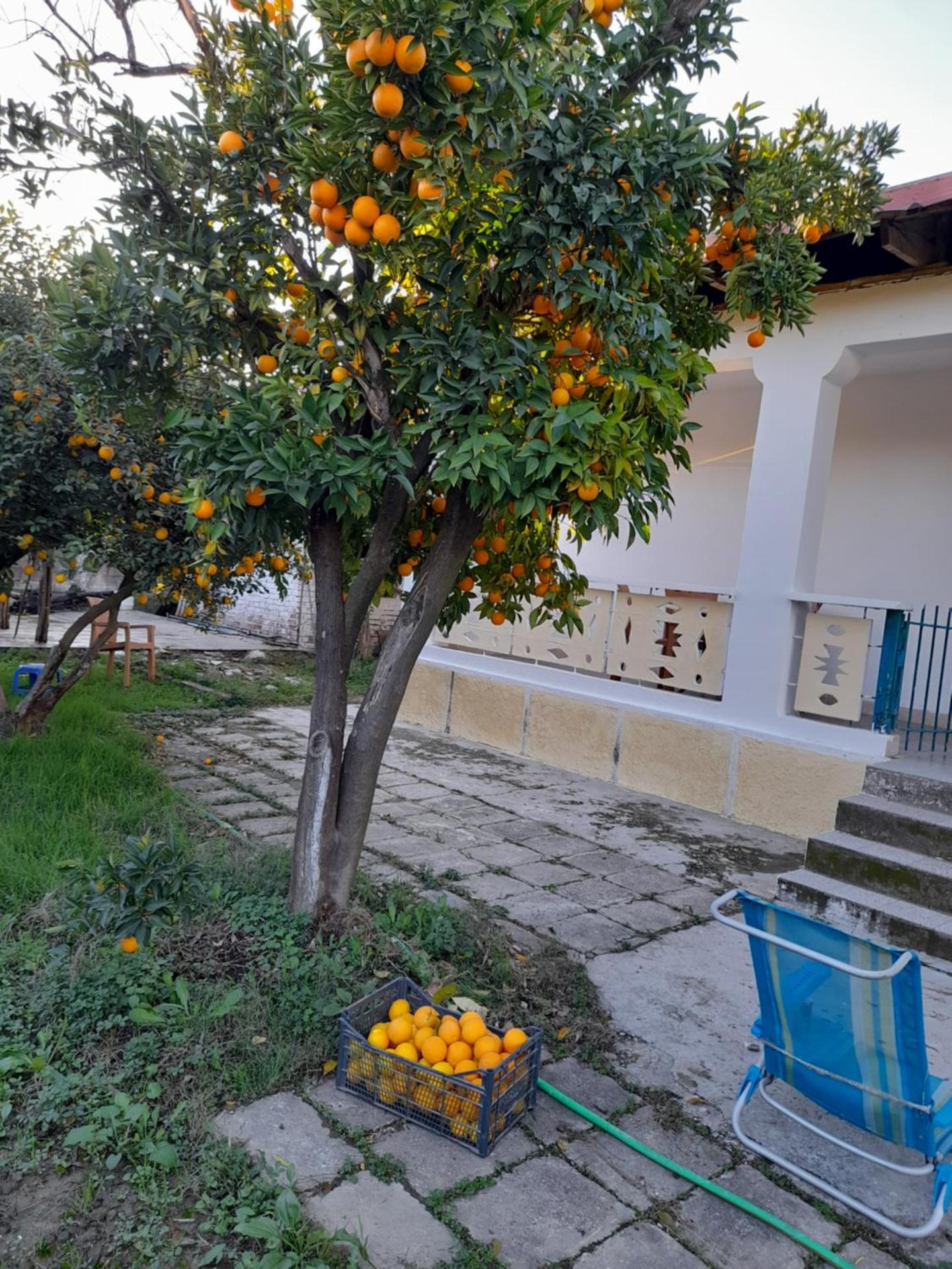 Chateau Sukaj - Photo 34