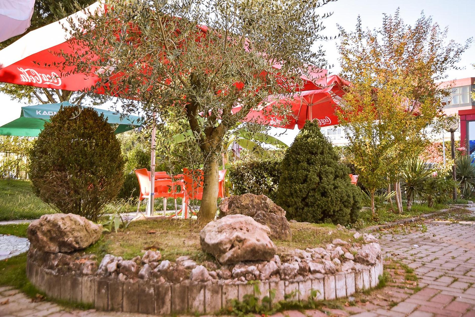 Hotel Jurgen - Photo 6