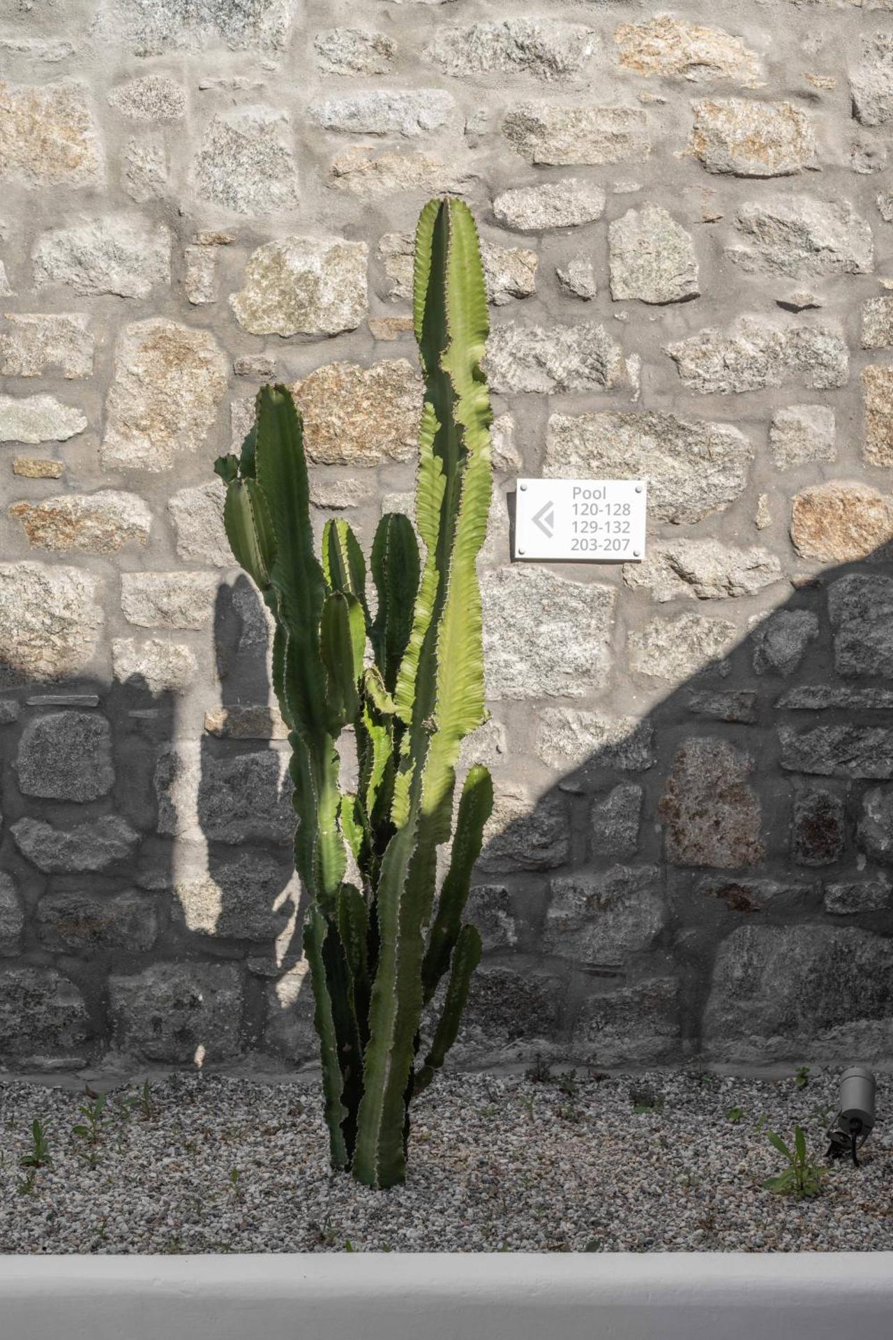 Argo Hotel - Photo 41