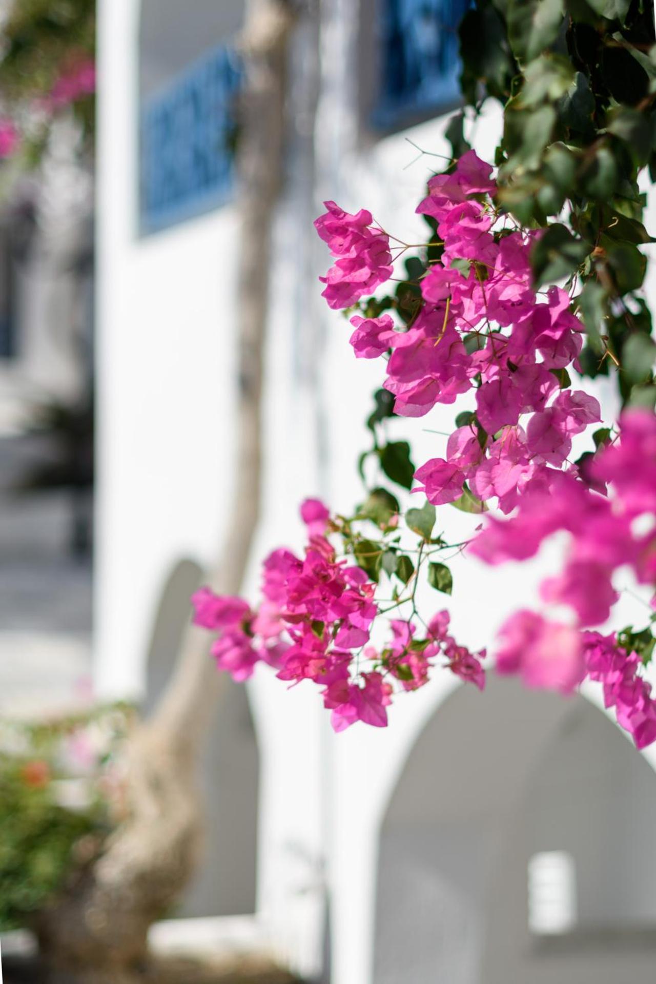 Veggera Beach Hotel - Photo 145